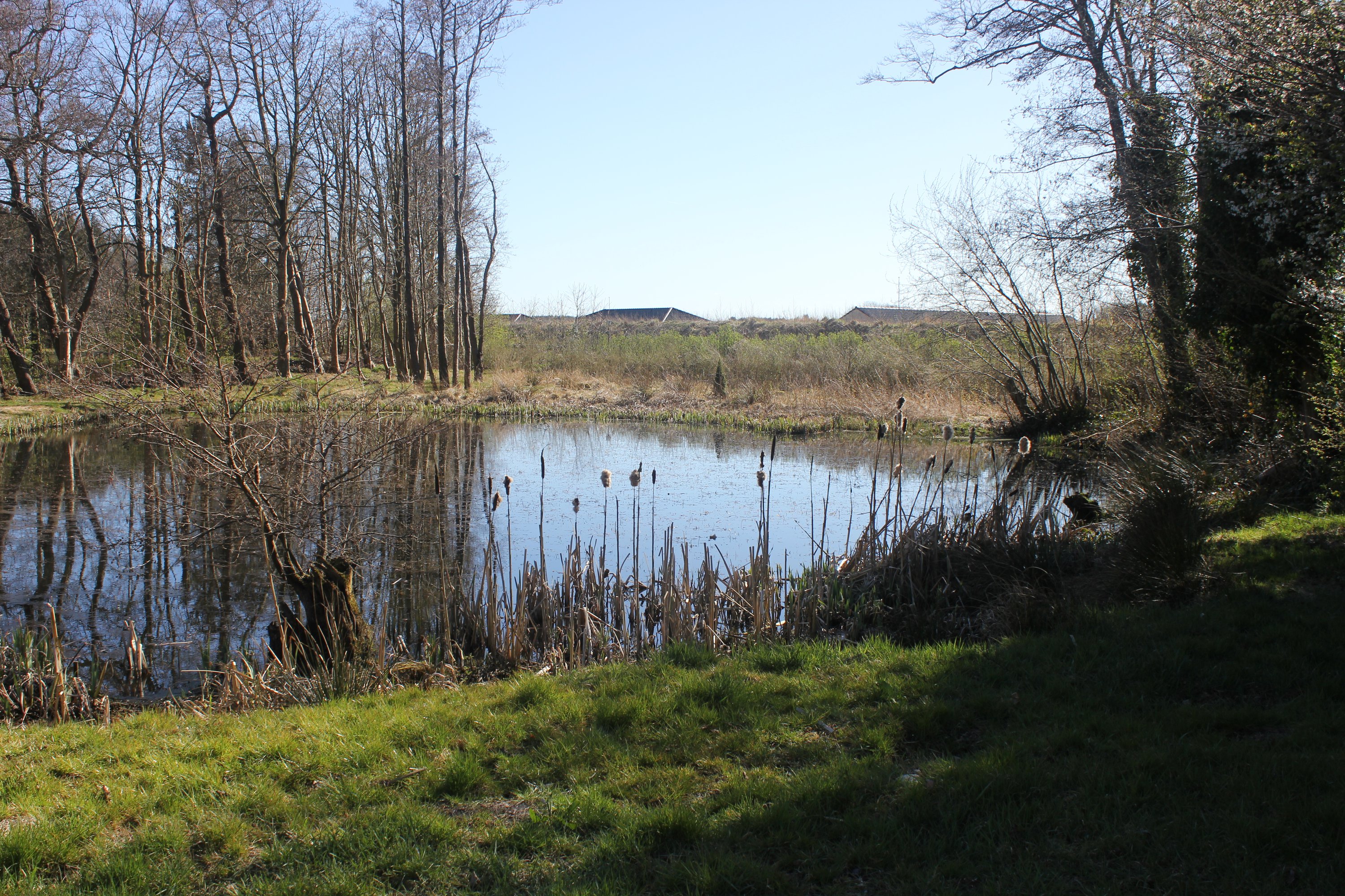 Fremhævet  billede i fuldskærmstilstand. Billede af Hovedgaden 10, Tvis, 7500 Holstebro