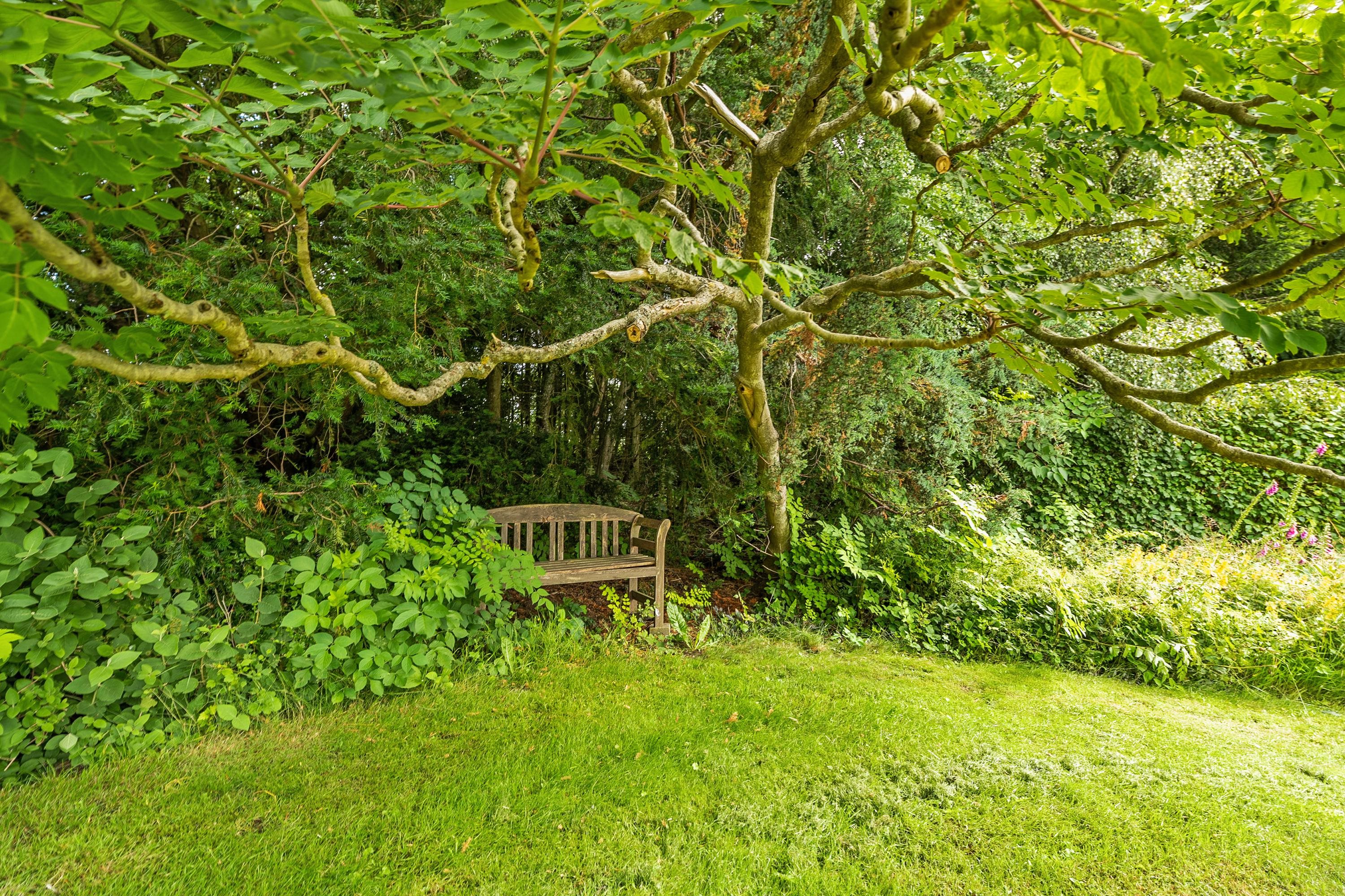 Fremhævet have billede i fuldskærmstilstand. Billede af Flemmingvej 22, 8762 Flemming