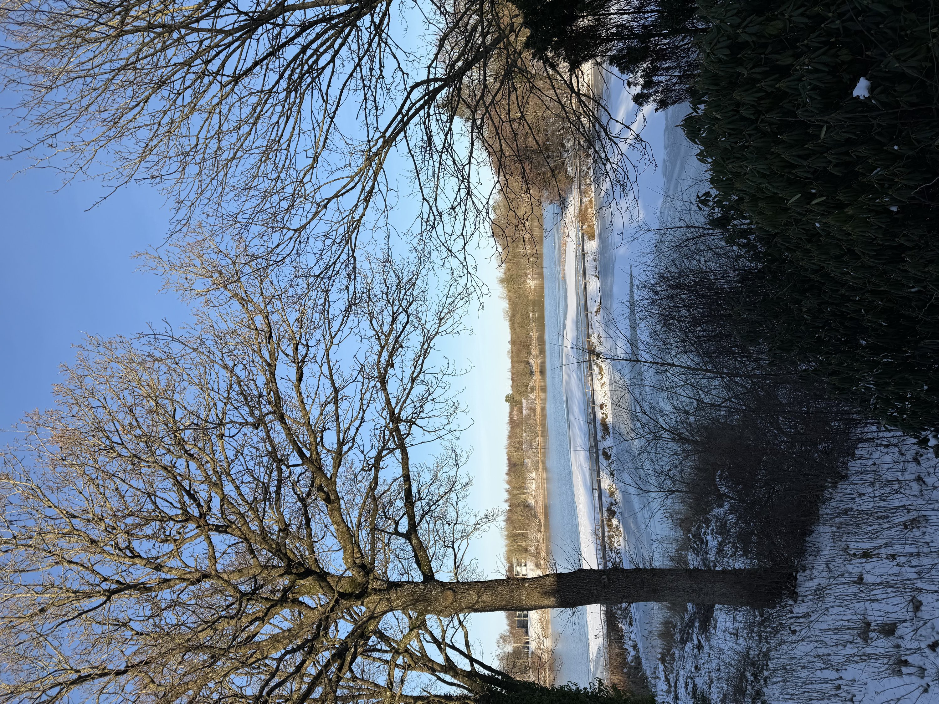 Fremhævet  billede i fuldskærmstilstand. Billede af Egevej 5, Mejdal, 7500 Holstebro