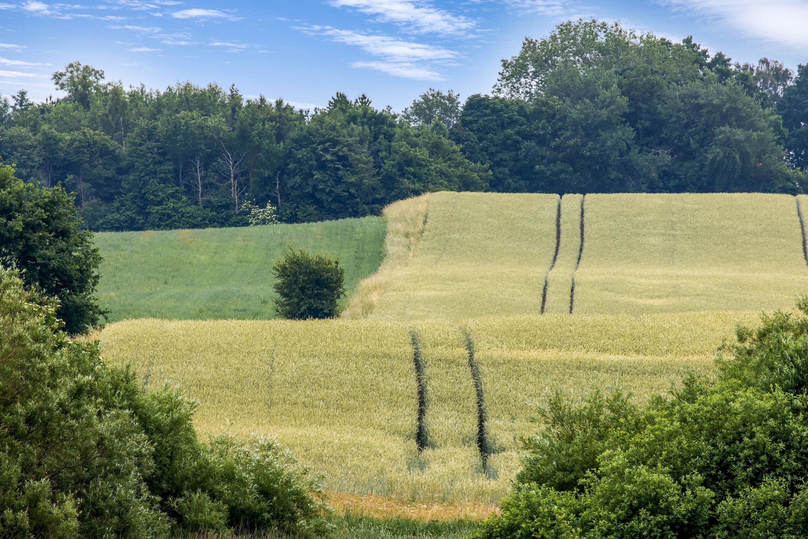 Fremhævet  billede i fuldskærmstilstand. Billede af Pilehaven 27, Ferslev, 4050 Skibby