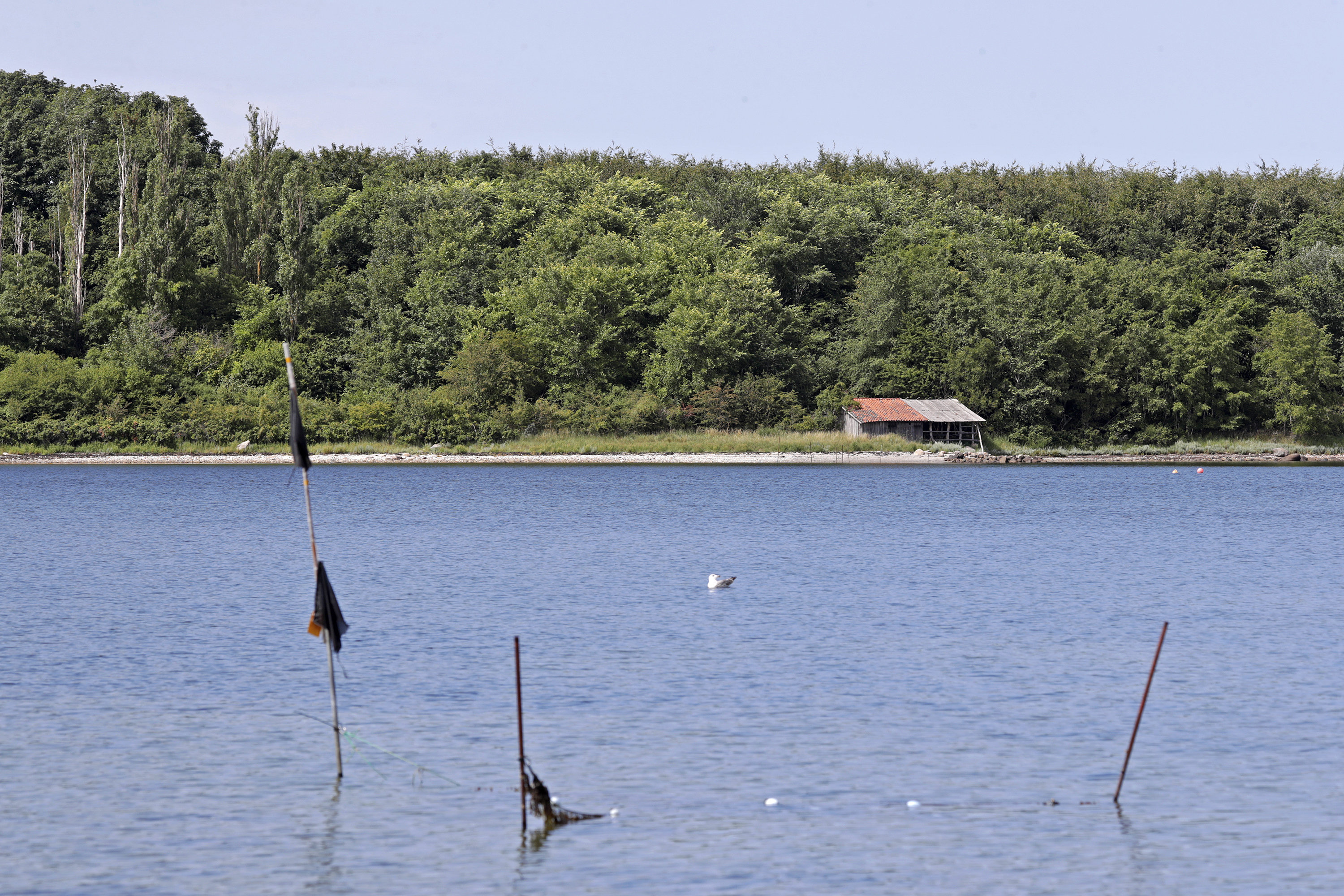 Fremhævet  billede i fuldskærmstilstand. Billede af Pilehaven 27, Ferslev, 4050 Skibby