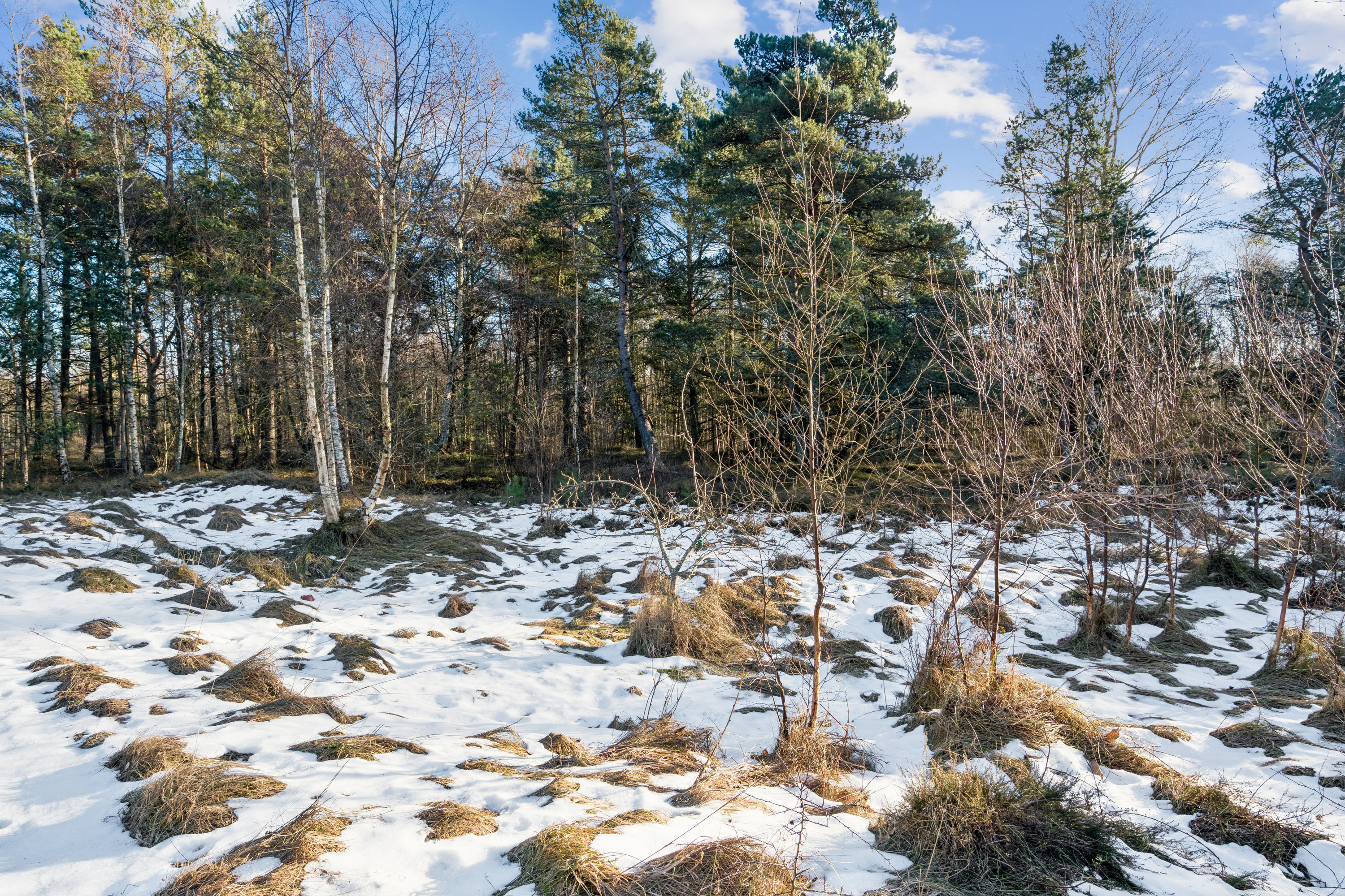 Fremhævet værelse billede i fuldskærmstilstand. Billede af Linievejen 28, Østerby, 9940 Læsø