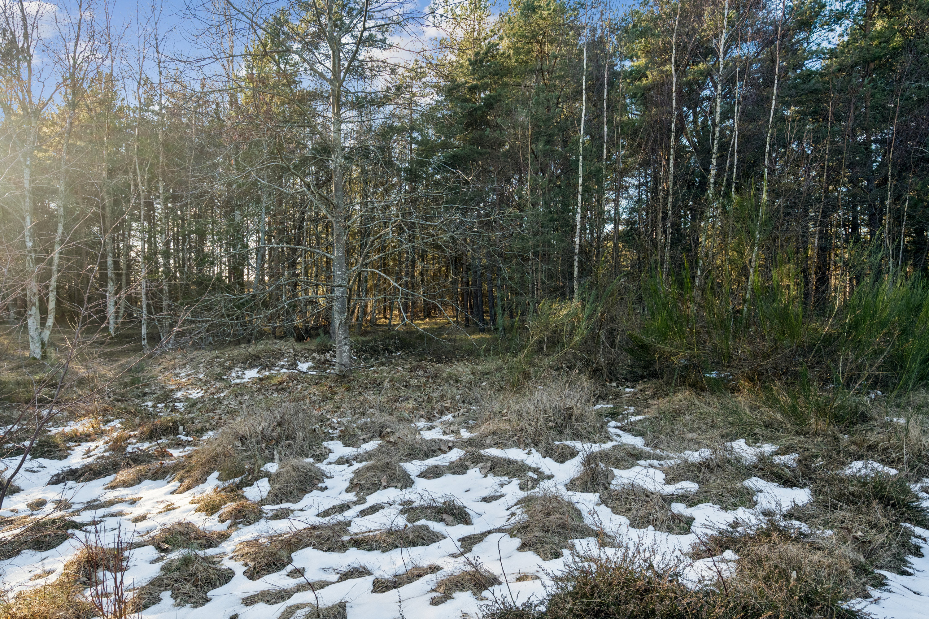 Fremhævet have billede i fuldskærmstilstand. Billede af Linievejen 28, Østerby, 9940 Læsø