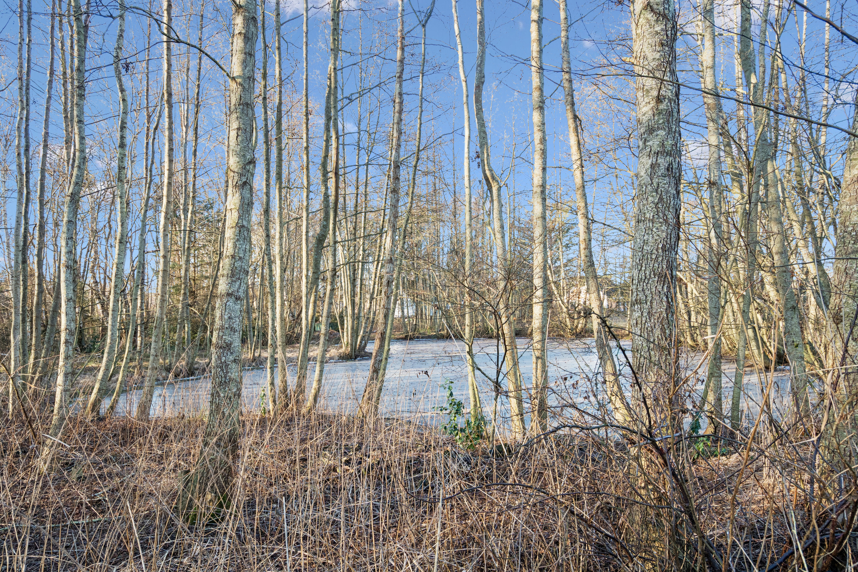 Fremhævet andet billede i fuldskærmstilstand. Billede af Smørblomstvej 2, Vesterø Havn, 9940 Læsø