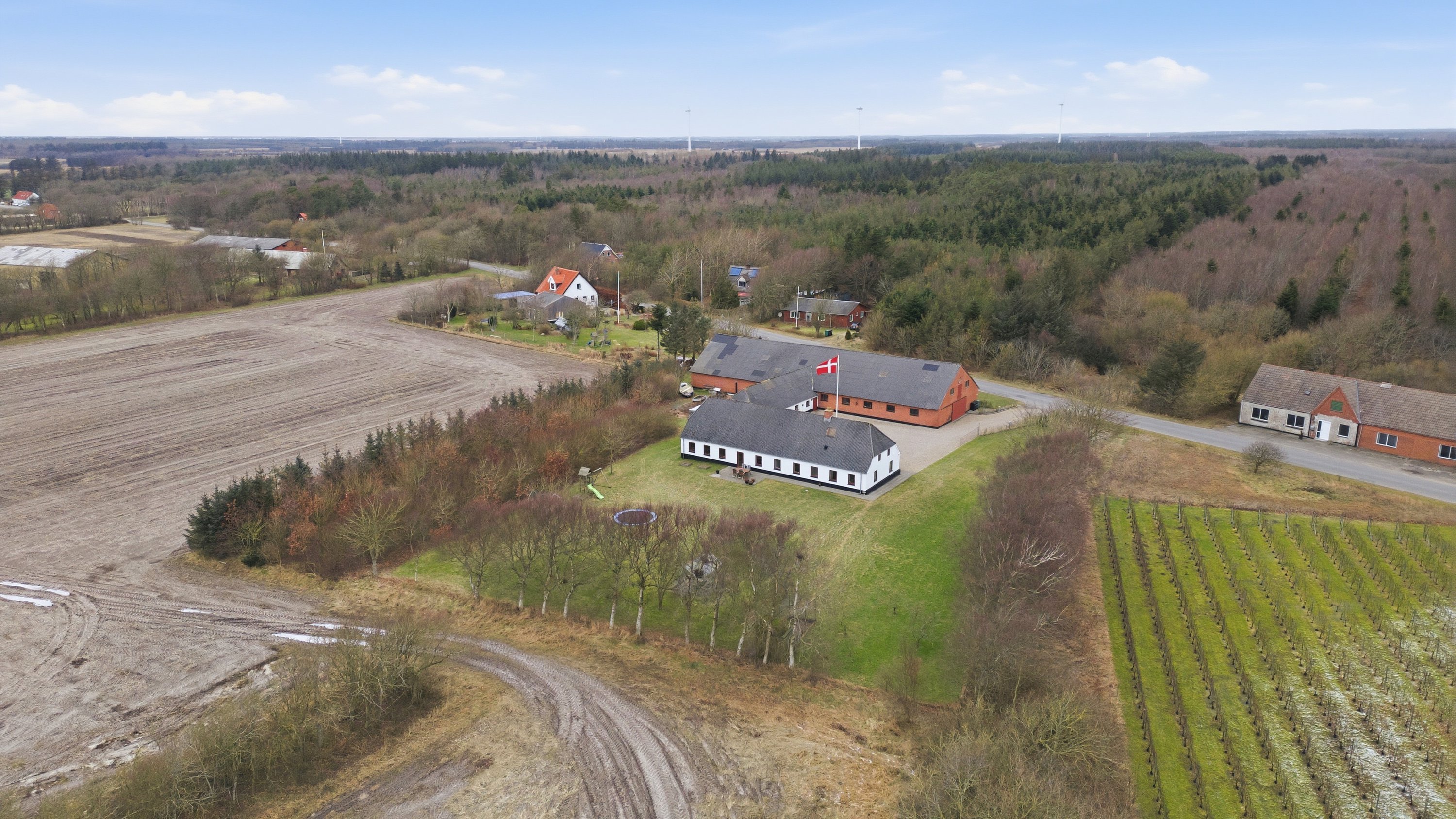 Miniaturebillede 1: luftfoto. Billede af Skalstrupvej 57, Skalstrup, 7570 Vemb