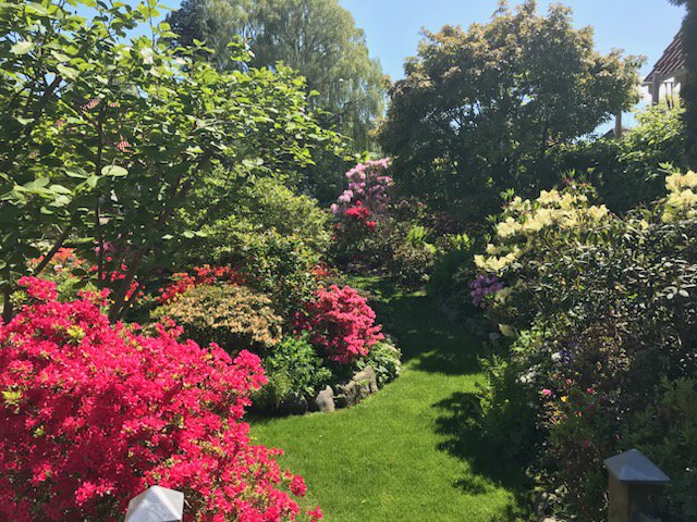 Fremhævet street view billede i fuldskærmstilstand. Billede af Gl. Aalborgvej 5, 8800 Viborg