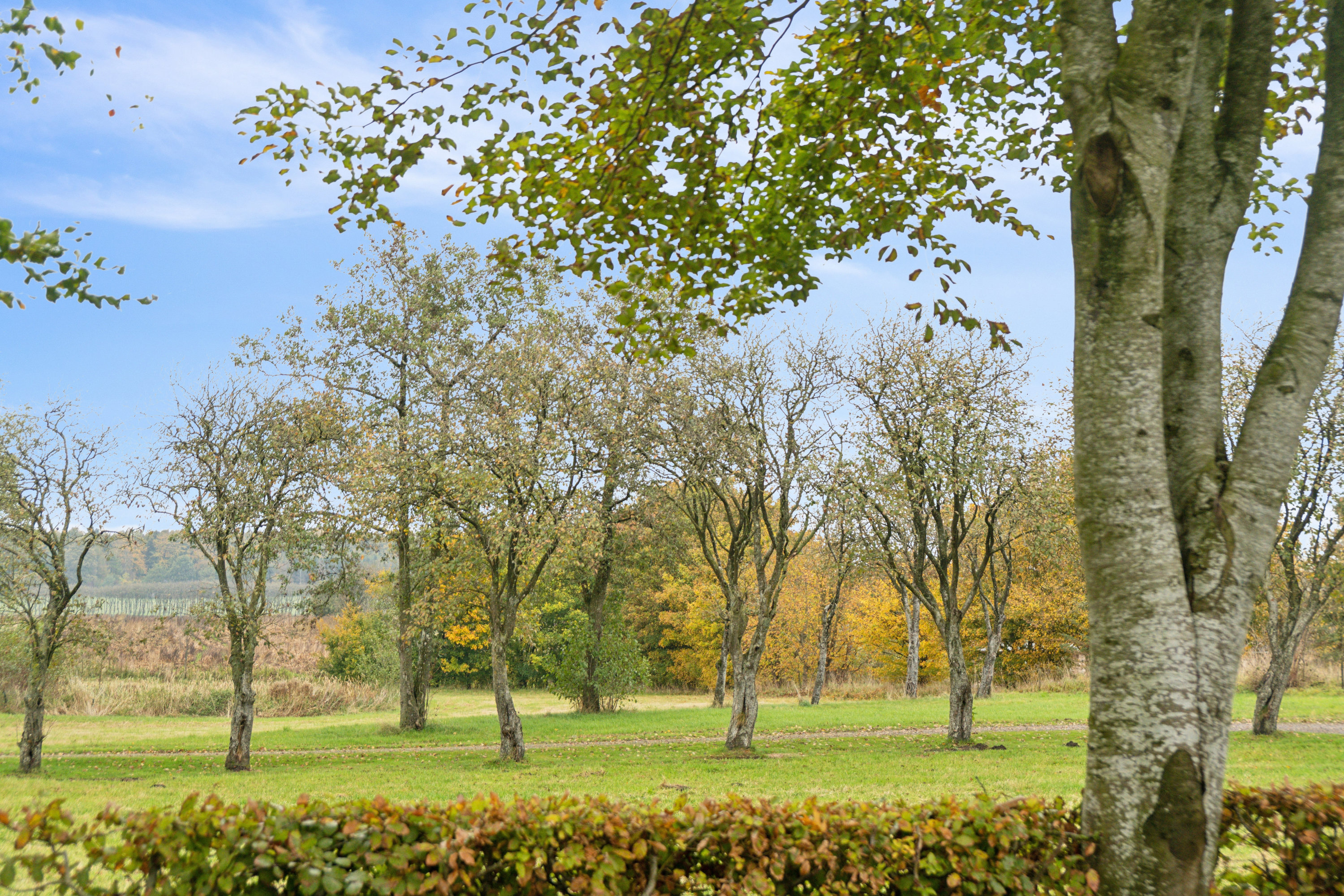 Fremhævet  billede i fuldskærmstilstand. Billede af Nørdamvej 48, Skringstrup, 8832 Skals