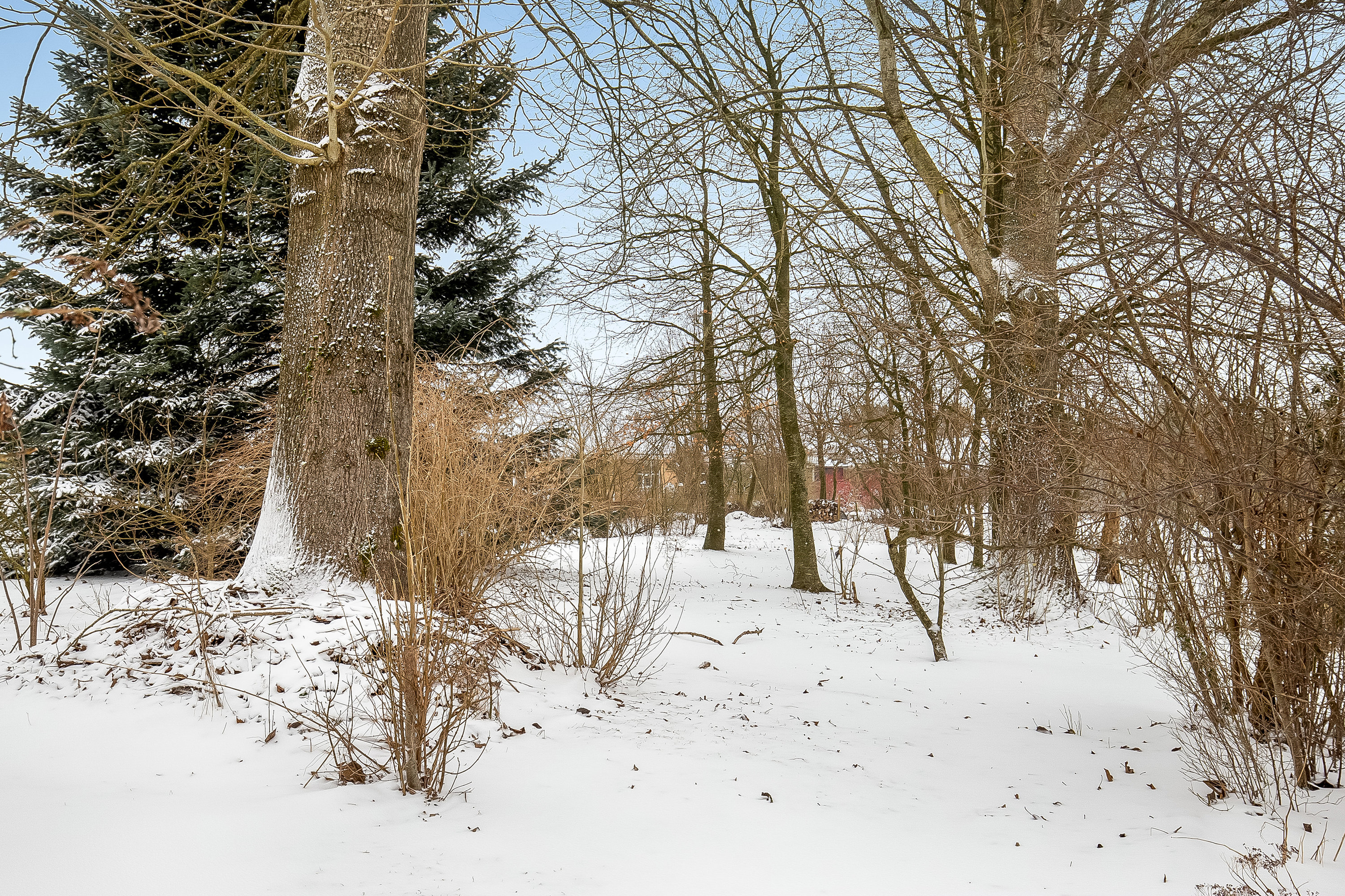 Fremhævet have billede i fuldskærmstilstand. Billede af Hovgårdsvej 50, Grejs, 7100 Vejle