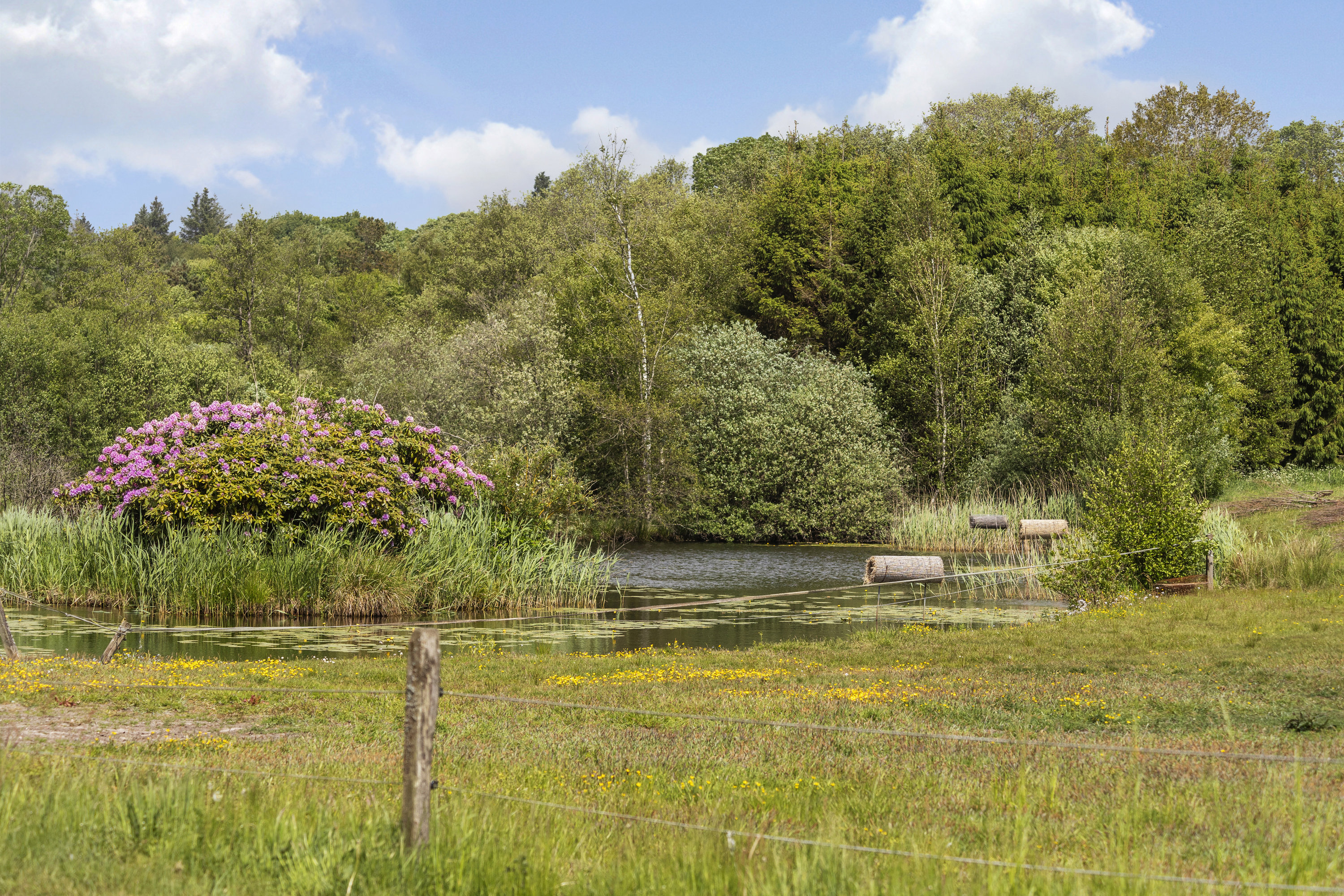 Fremhævet  billede i fuldskærmstilstand. Billede af Nørresøvej 36, Dons, 6051 Almind