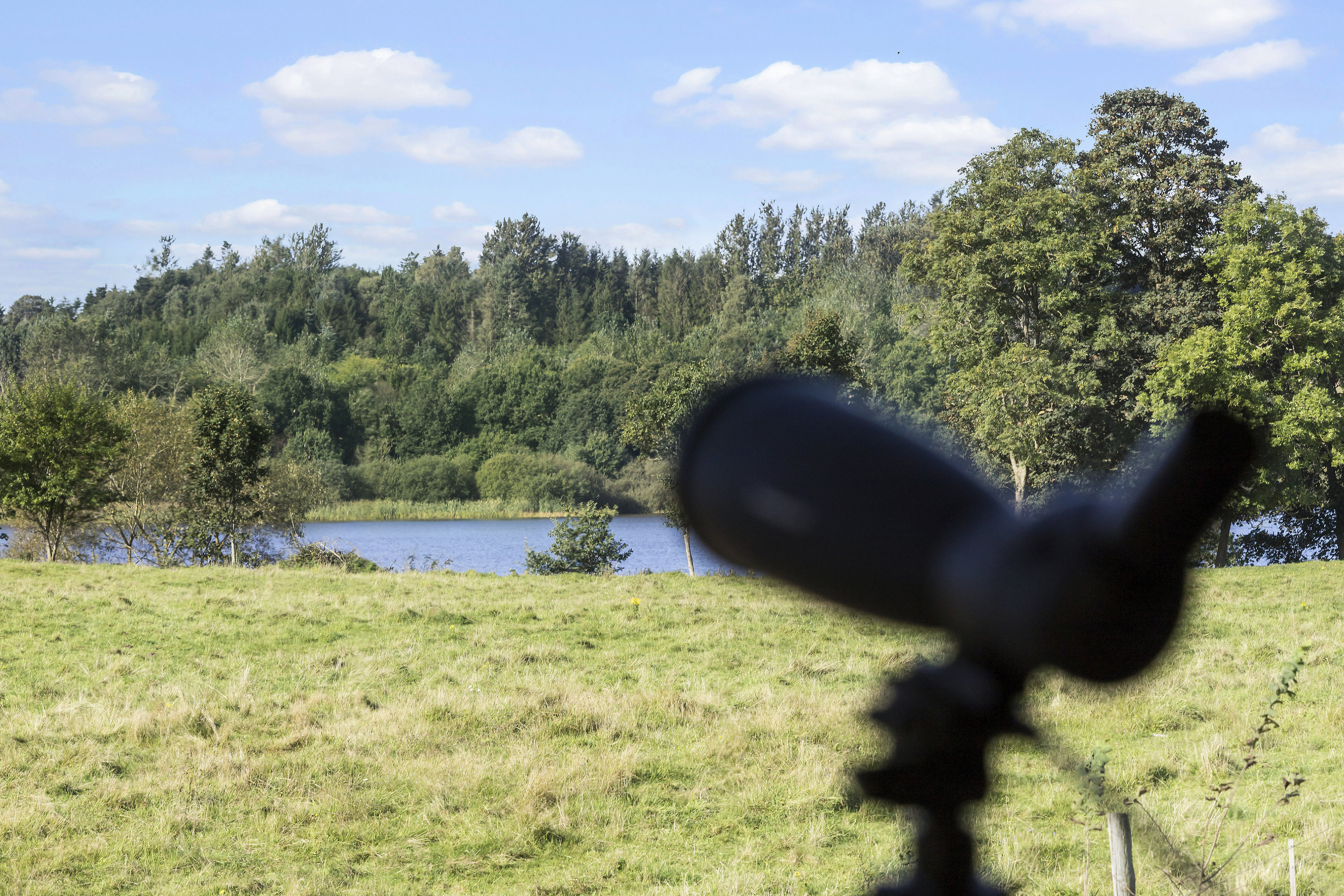 Fremhævet  billede i fuldskærmstilstand. Billede af Nørresøvej 36, Dons, 6051 Almind