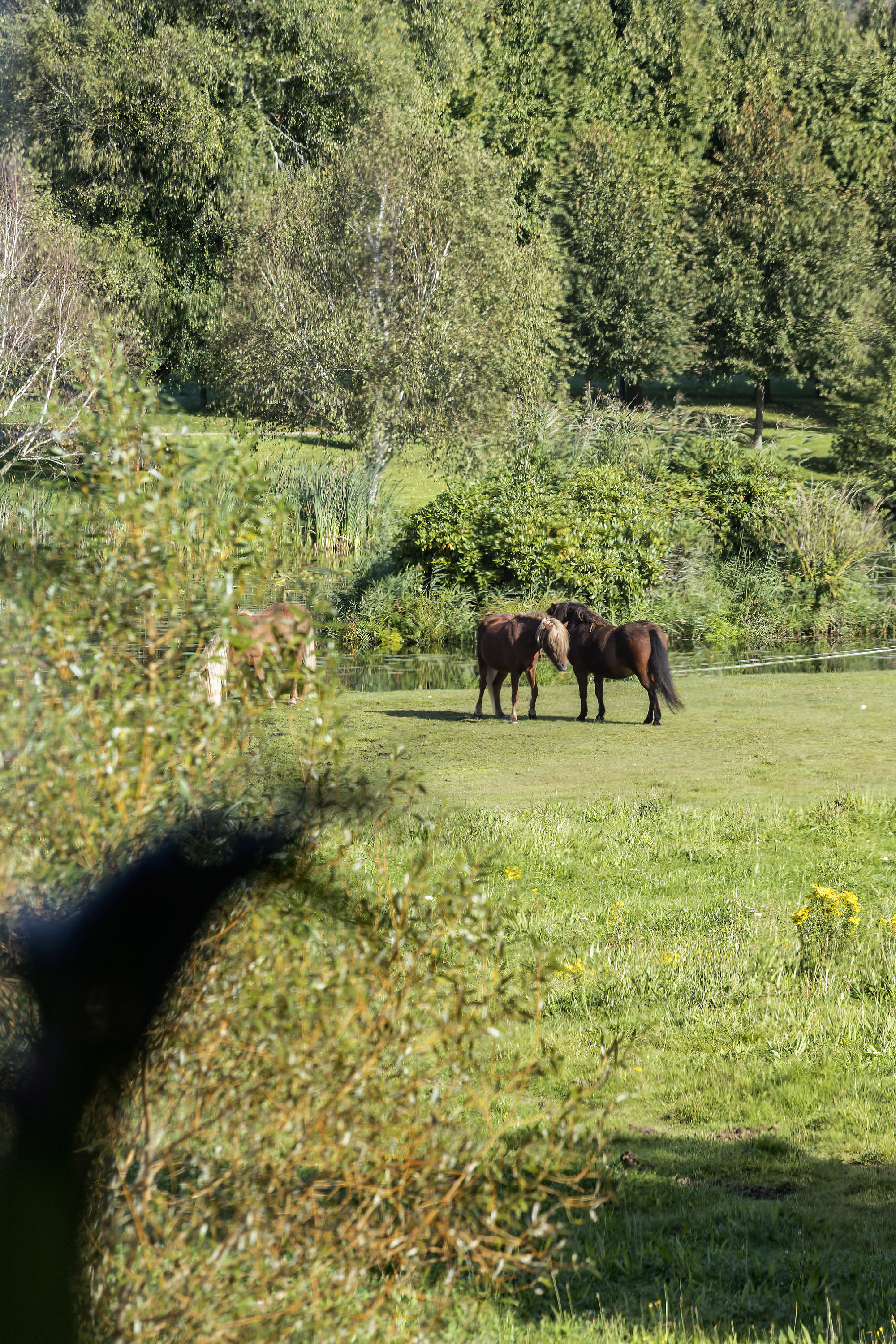 Fremhævet  billede i fuldskærmstilstand. Billede af Nørresøvej 36, Dons, 6051 Almind