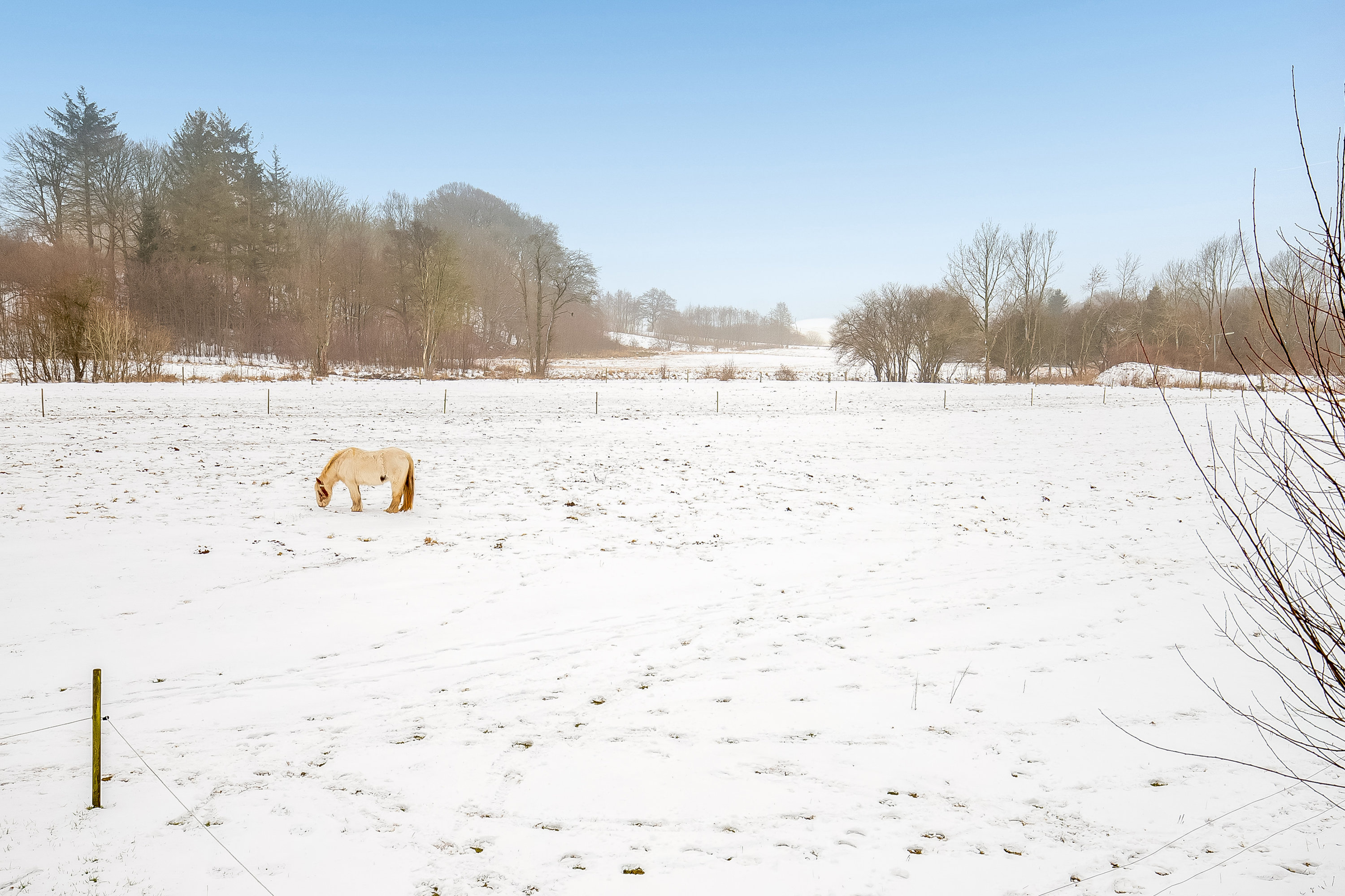 Fremhævet udsigt billede i fuldskærmstilstand. Billede af Fabriksvejen 14, 7182 Bredsten