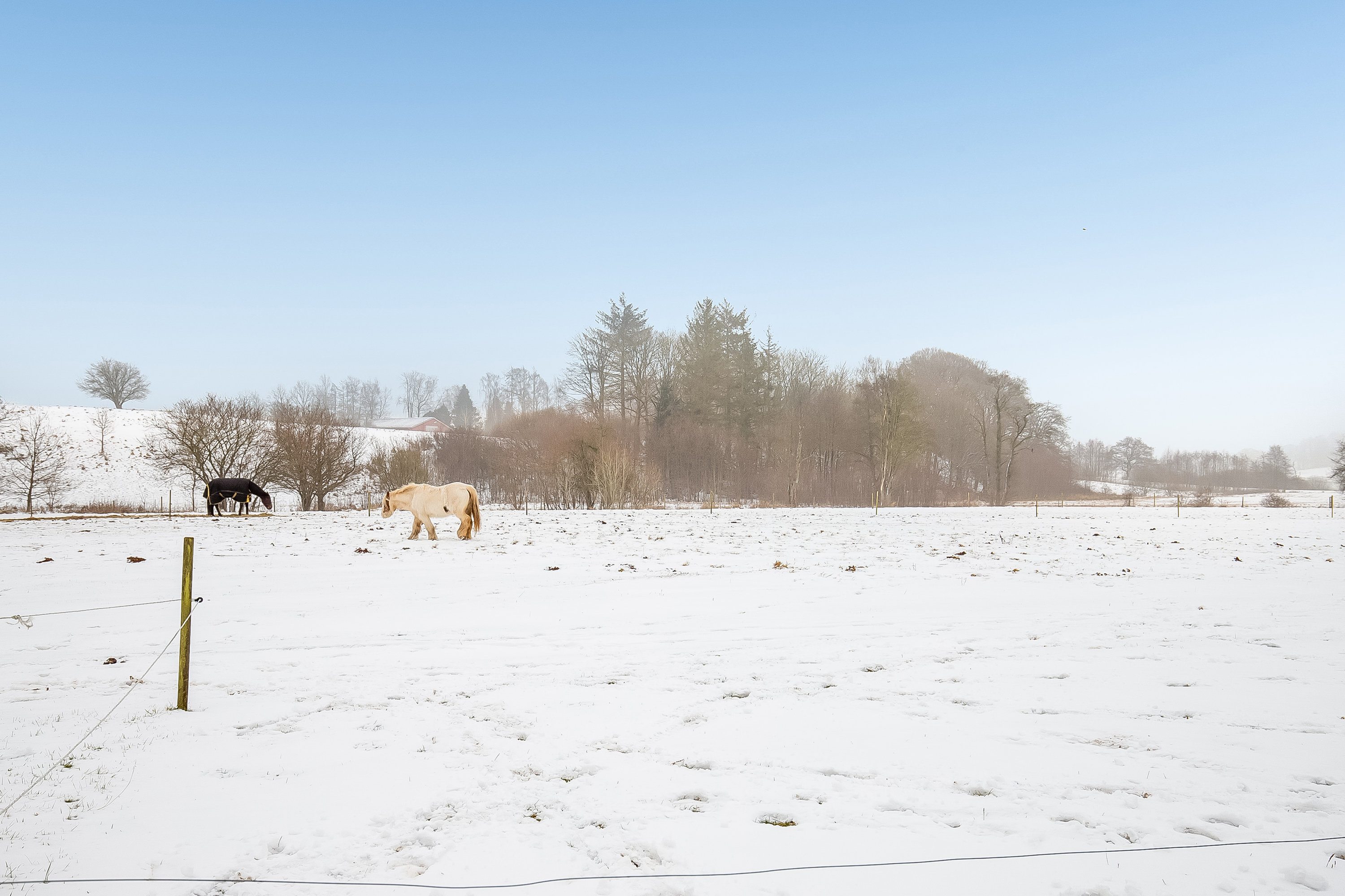Fremhævet udsigt billede i fuldskærmstilstand. Billede af Fabriksvejen 14, 7182 Bredsten