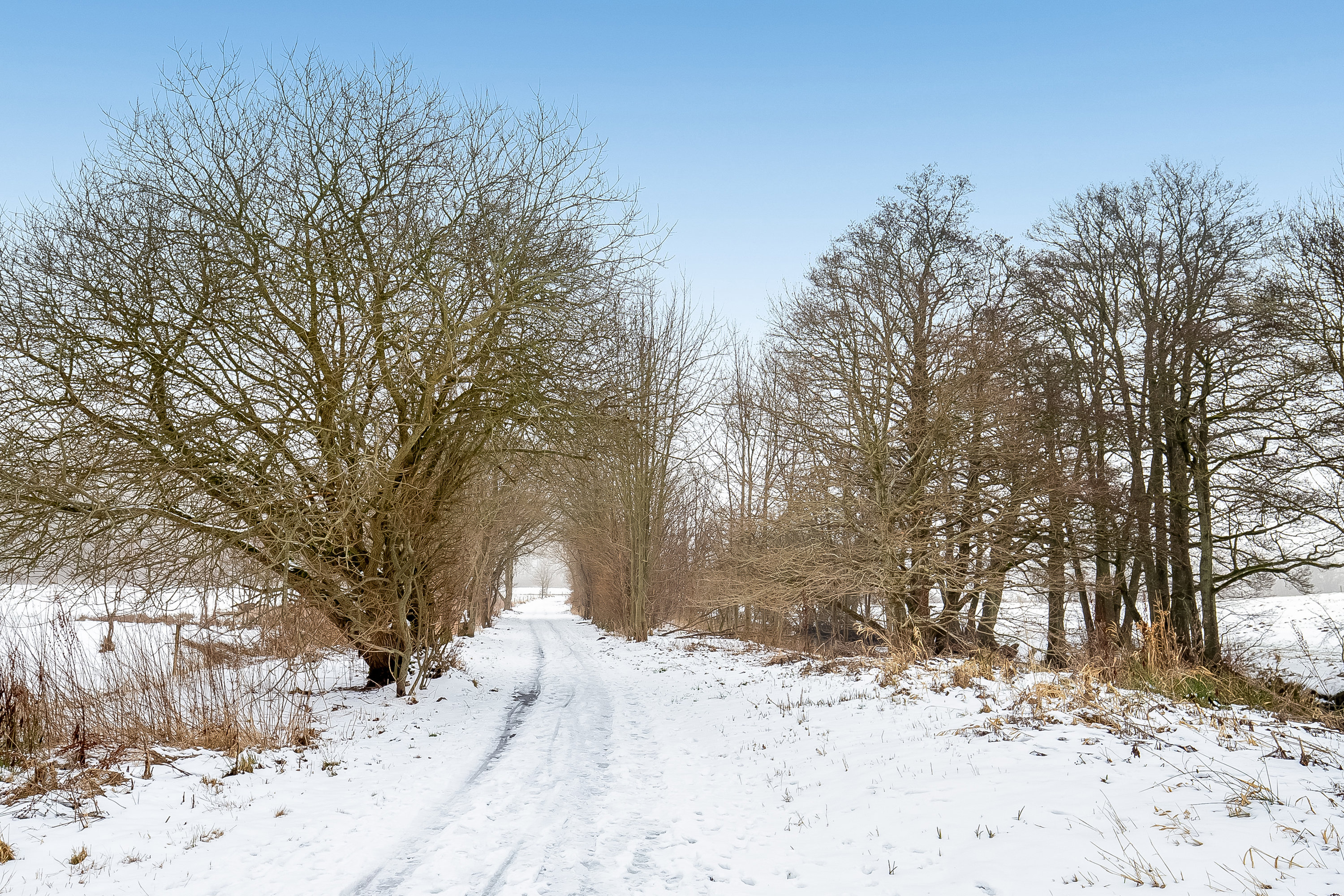 Fremhævet område billede i fuldskærmstilstand. Billede af Fabriksvejen 14, 7182 Bredsten