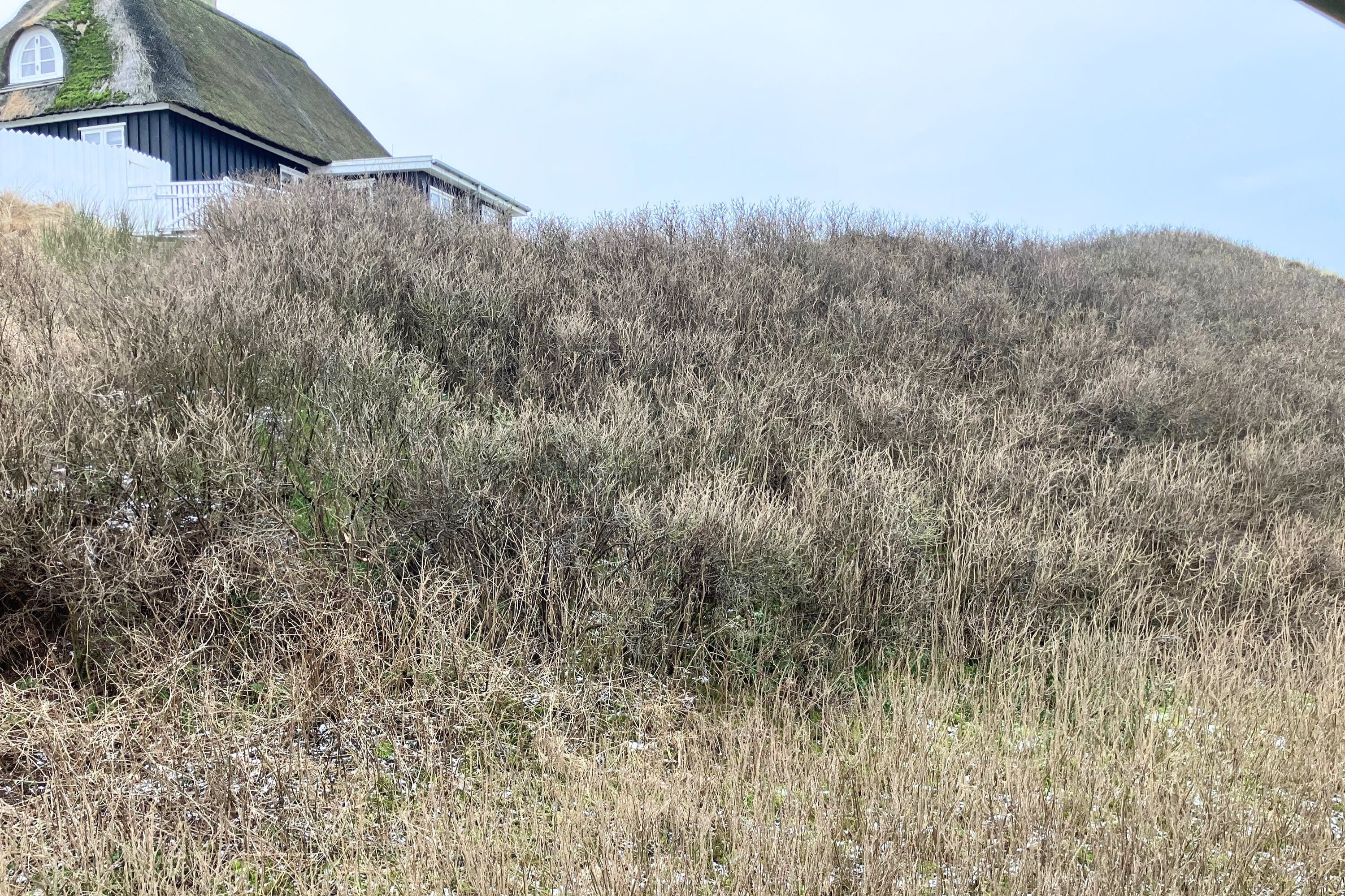 Fremhævet  billede i fuldskærmstilstand. Billede af Lodbergsvej 243A, 1. 207a., Søndervig, 6950 Ringkøbing