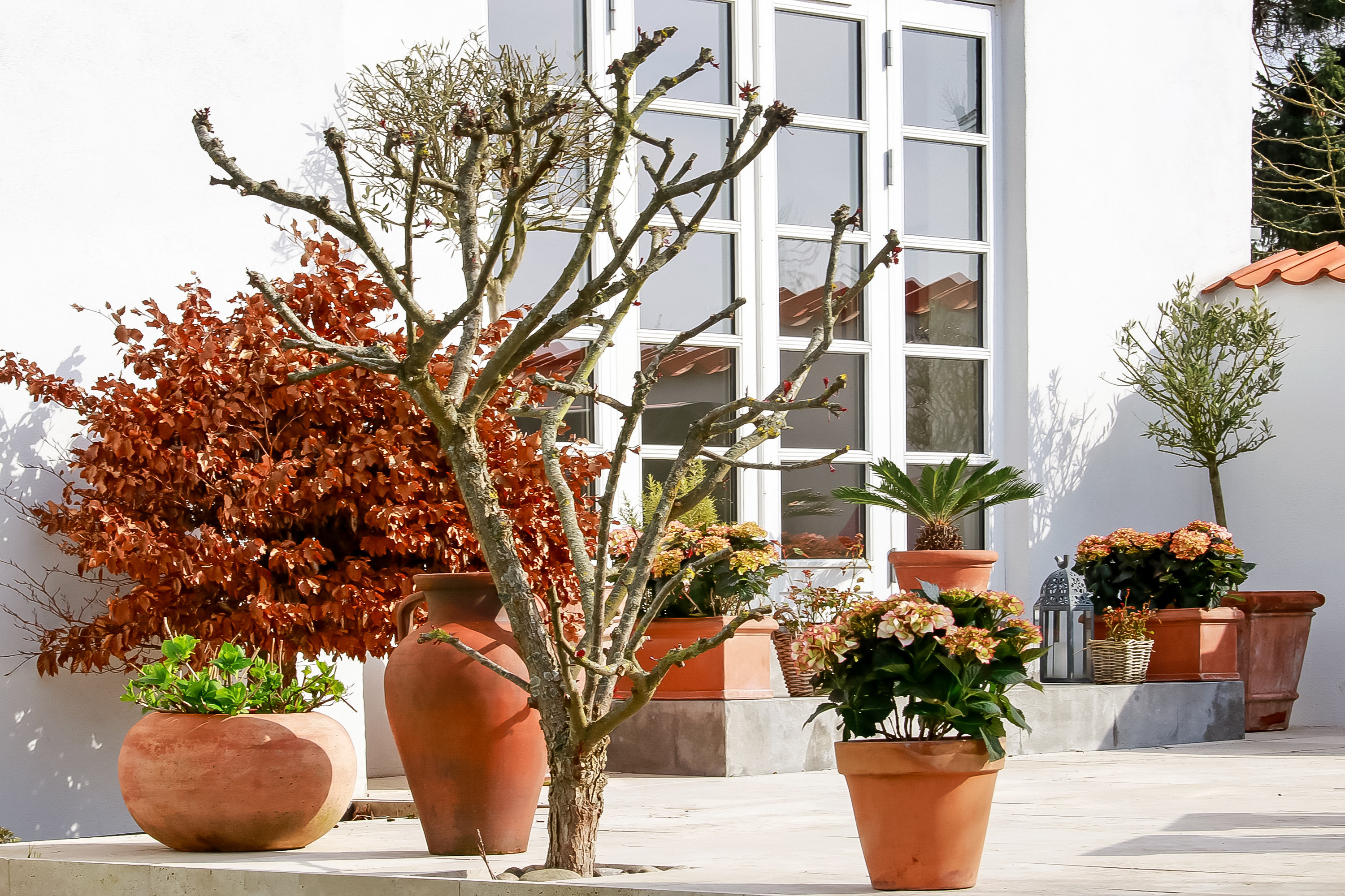 Fremhævet  billede i fuldskærmstilstand. Billede af Engvej 3, 5230 Odense M