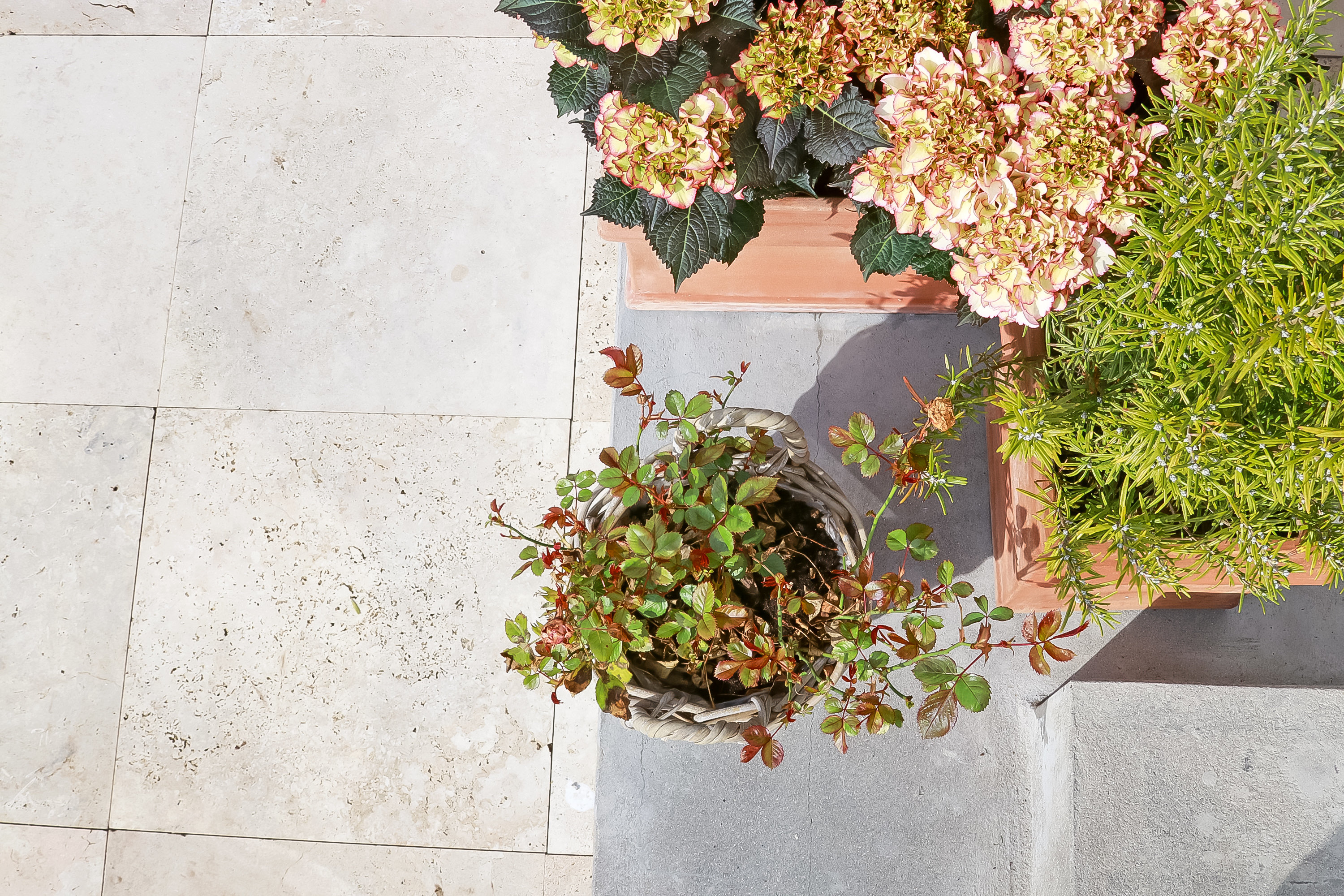 Fremhævet  billede i fuldskærmstilstand. Billede af Engvej 3, 5230 Odense M