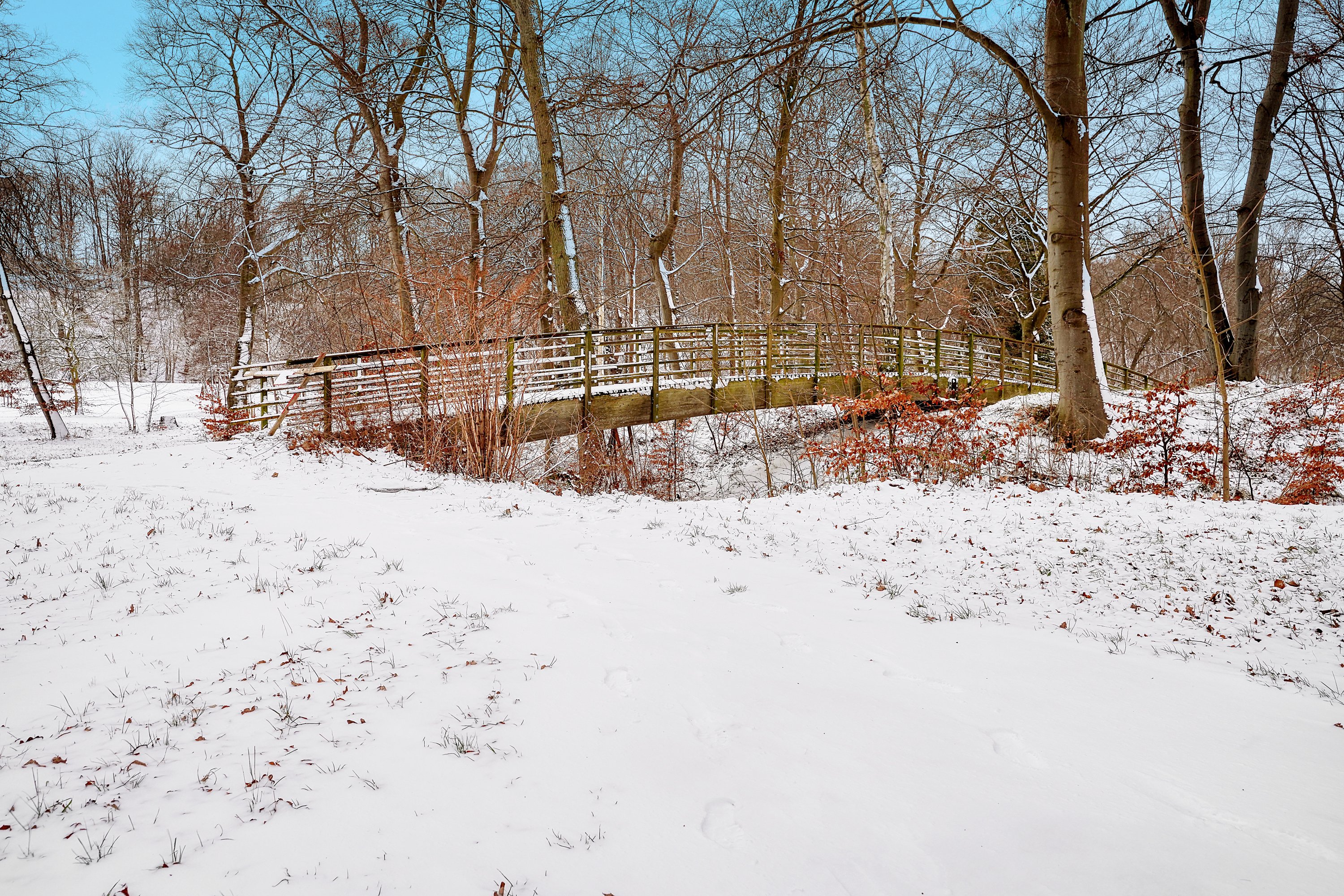 Fremhævet område billede i fuldskærmstilstand. Billede af Nordre Strandvej 25, 3000 Helsingør