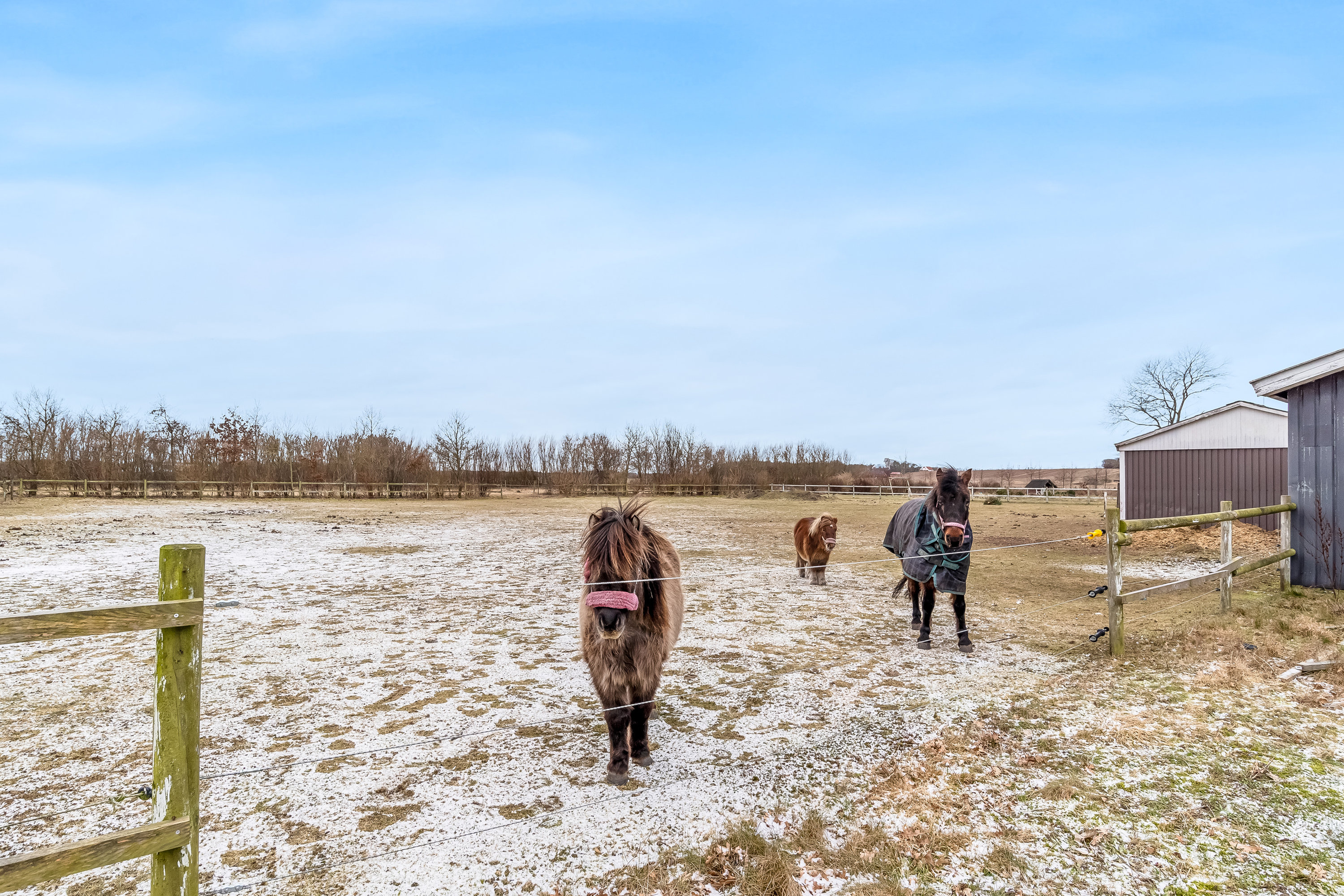 Miniaturebillede 1: hestefold. Billede af Naurvej 28, 7500 Holstebro