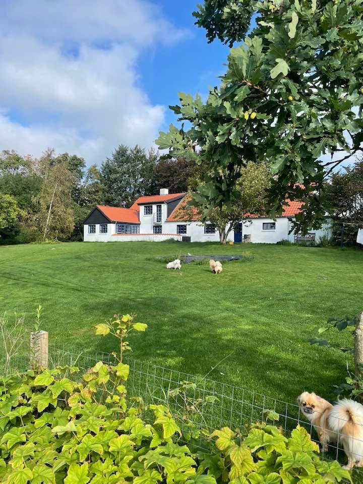 Fremhævet  billede i fuldskærmstilstand. Billede af Rakkebyvej 361, Rakkeby, 9800 Hjørring