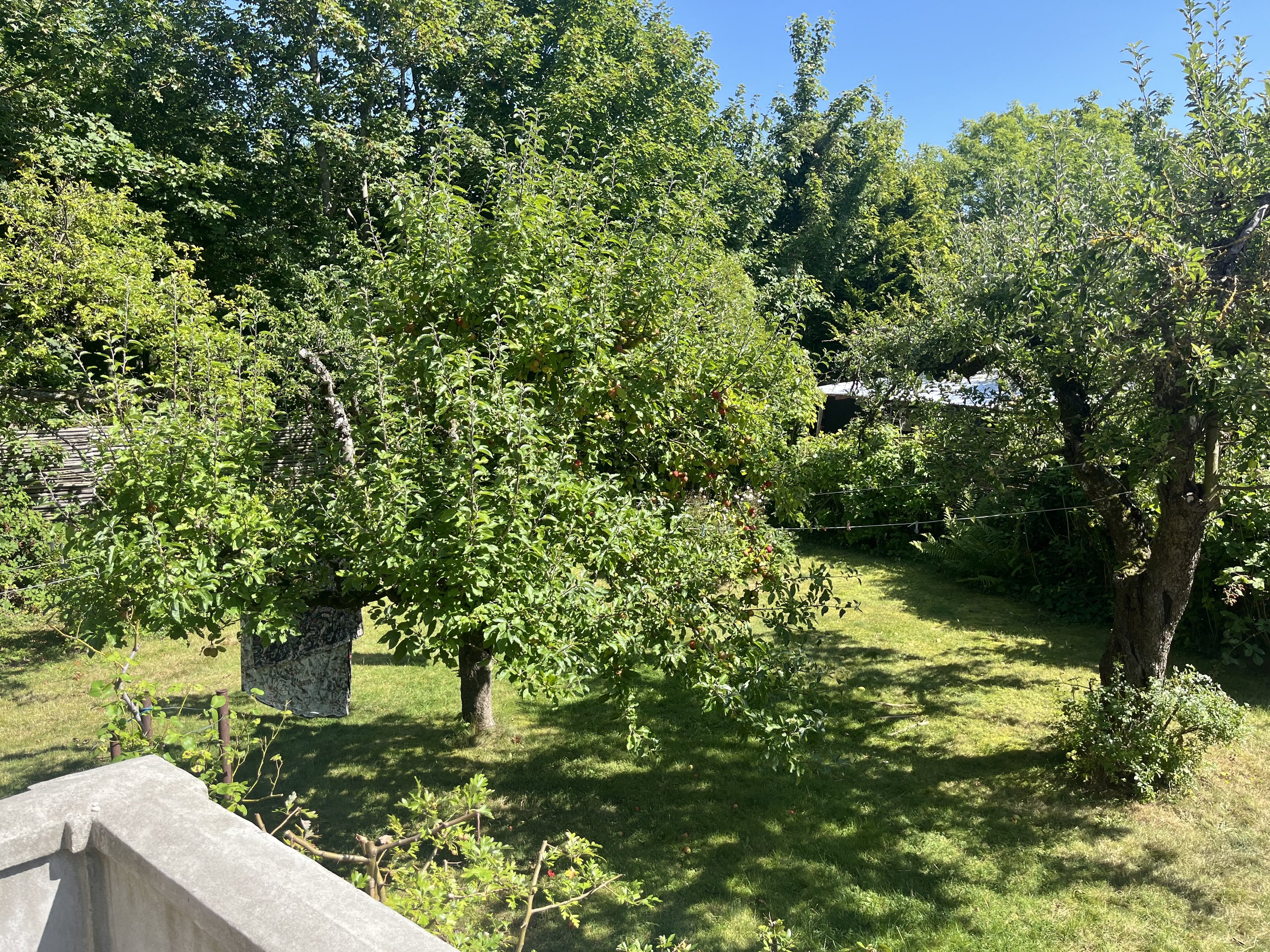 Fremhævet  billede i fuldskærmstilstand. Billede af Viadukt Alle 14, 2900 Hellerup