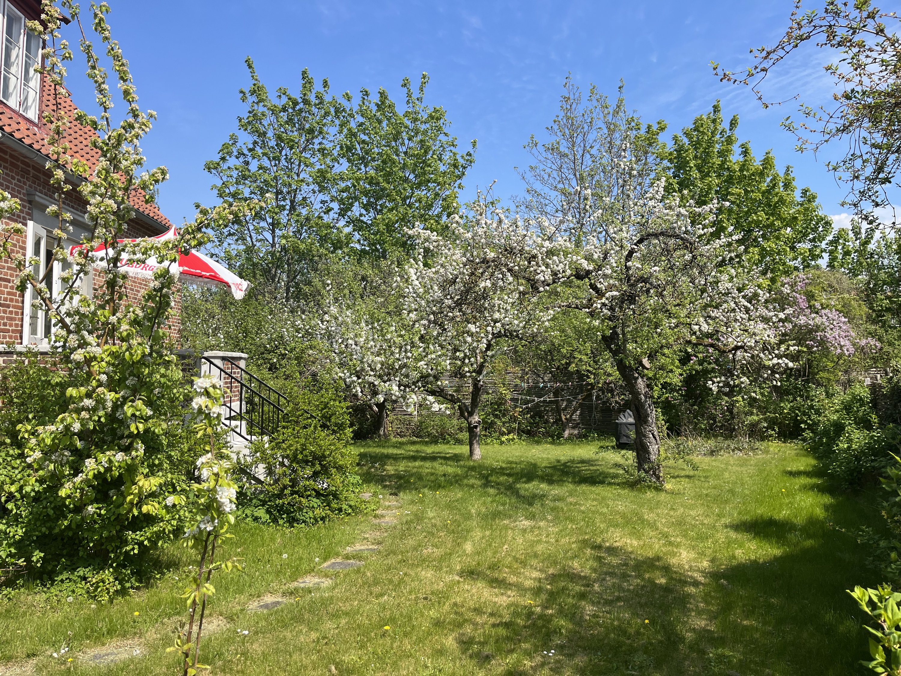 Fremhævet  billede i fuldskærmstilstand. Billede af Viadukt Alle 14, 2900 Hellerup