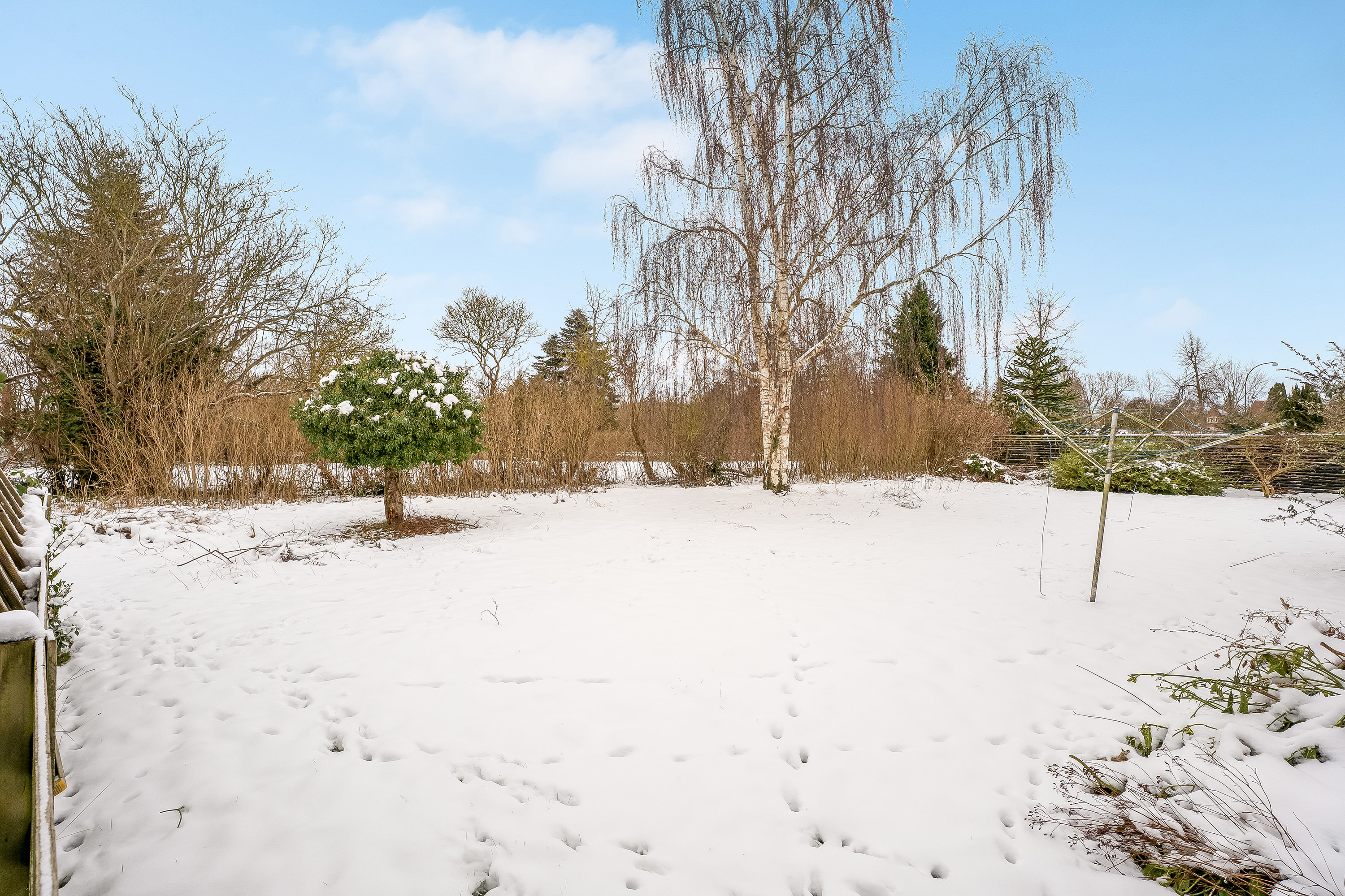 Fremhævet have billede i fuldskærmstilstand. Billede af Møllemarksvej 10, 4900 Nakskov