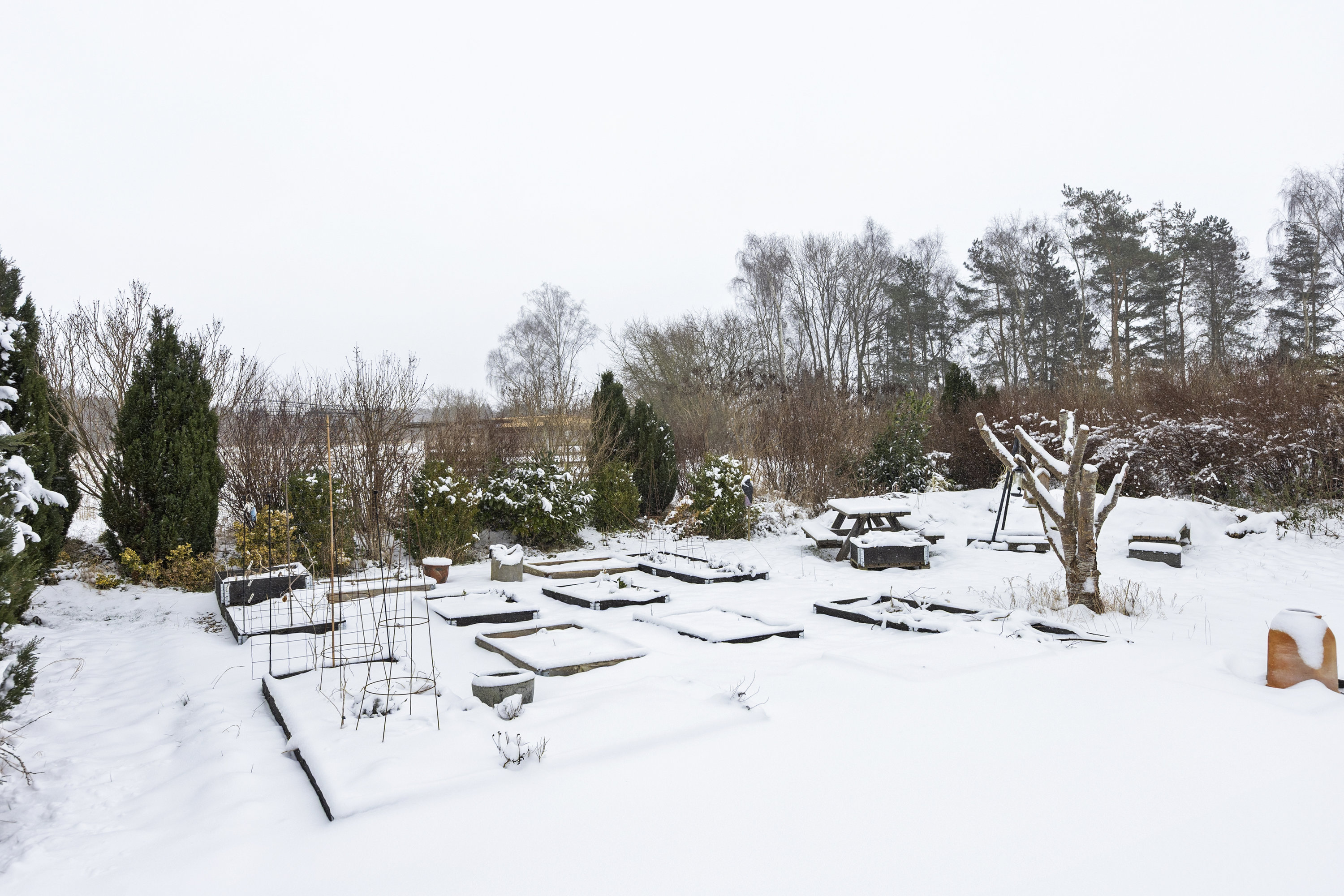 Fremhævet have billede i fuldskærmstilstand. Billede af Ørslev Gade 86, Ørslev, 4100 Ringsted