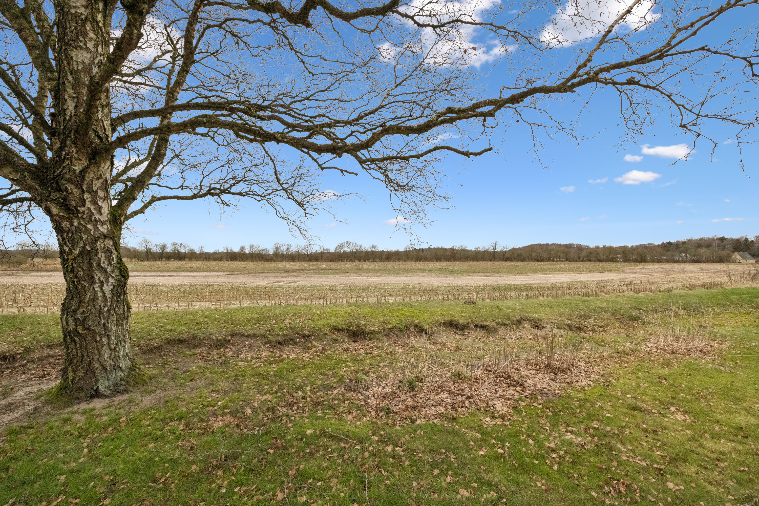 Fremhævet  billede i fuldskærmstilstand. Billede af Langmosevej 13, Bjerregrav, 9632 Møldrup