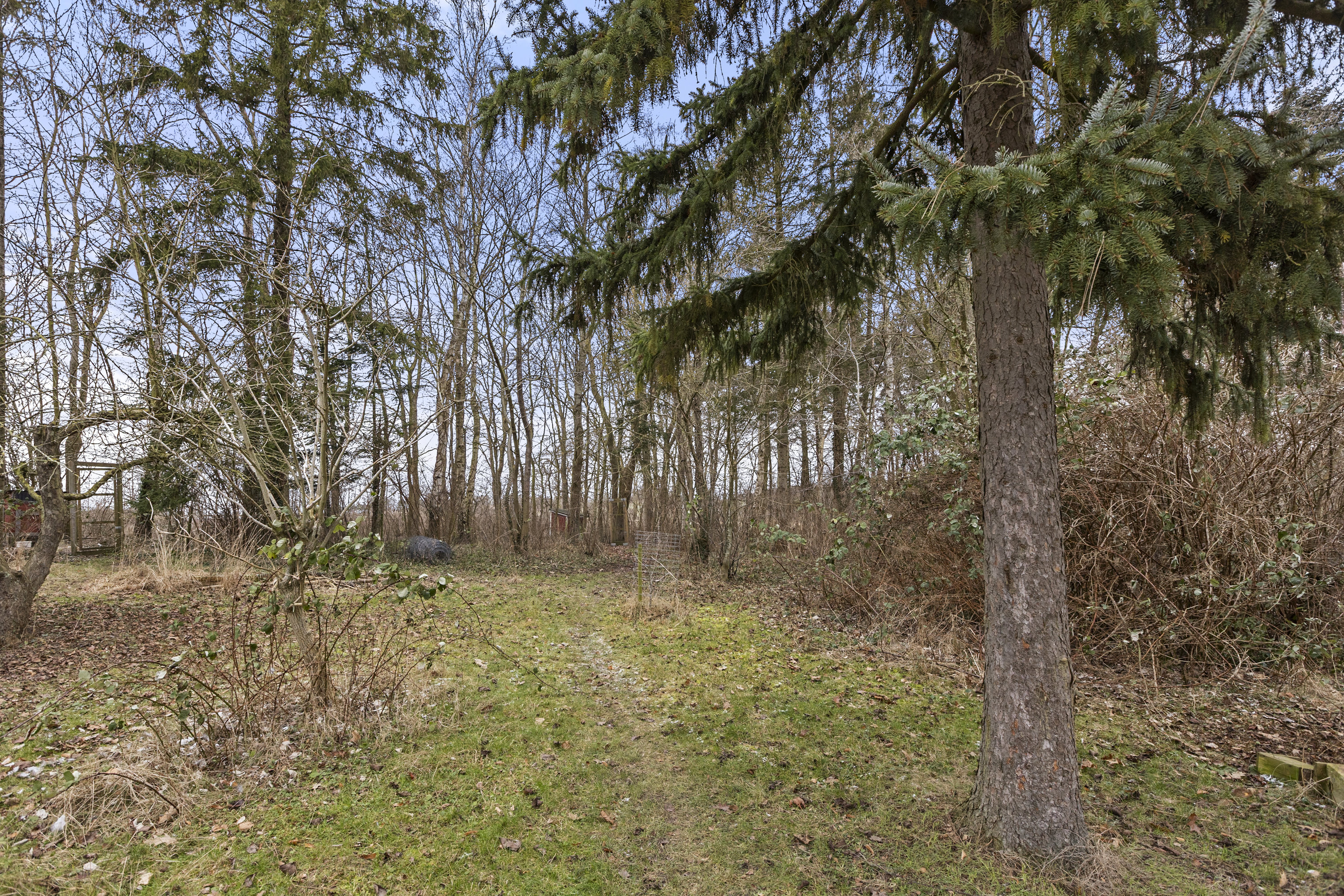 Fremhævet grund billede i fuldskærmstilstand. Billede af Vesterbygårdvej 14, 4490 Jerslev Sjælland