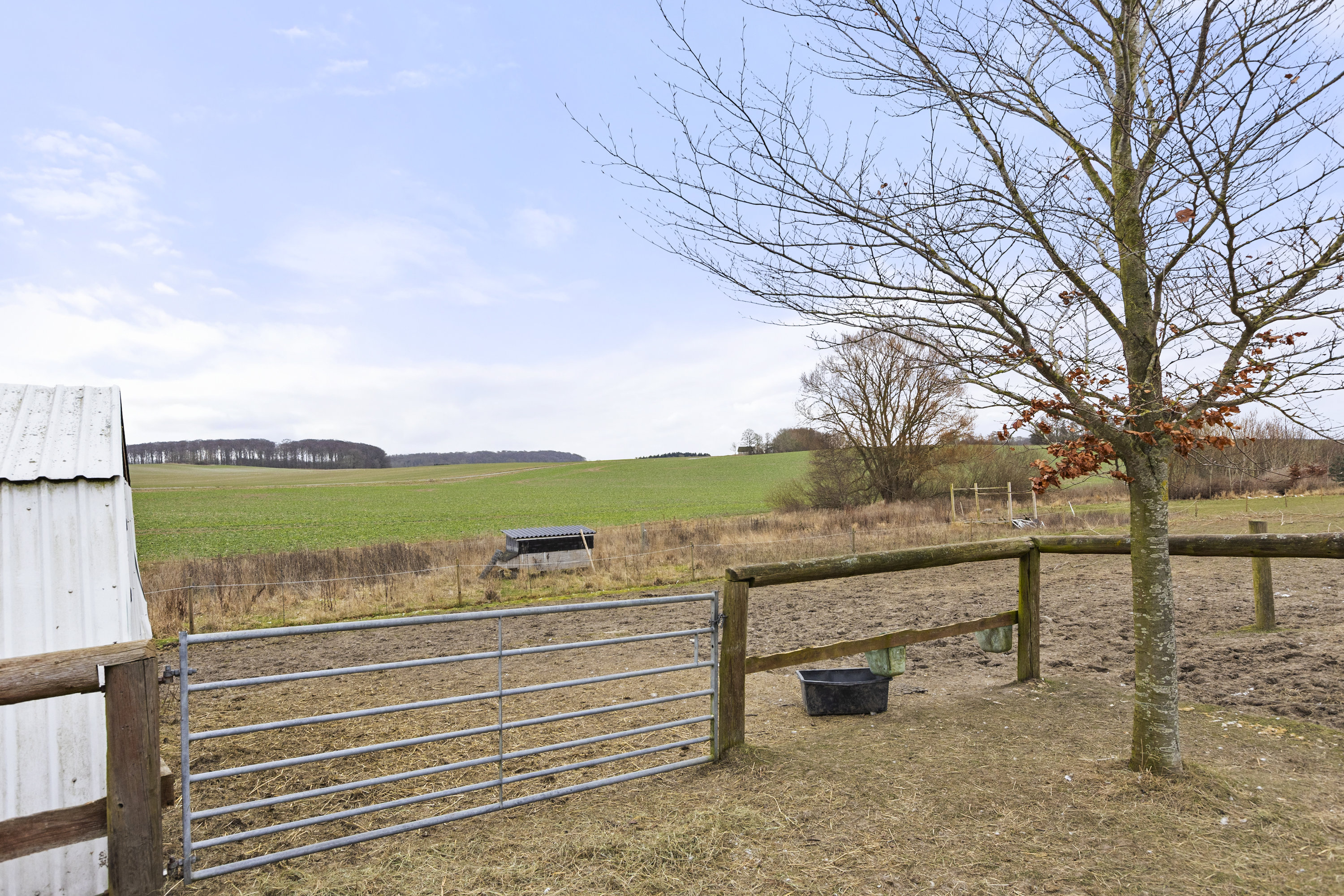 Fremhævet hestefold billede i fuldskærmstilstand. Billede af Vesterbygårdvej 14, 4490 Jerslev Sjælland