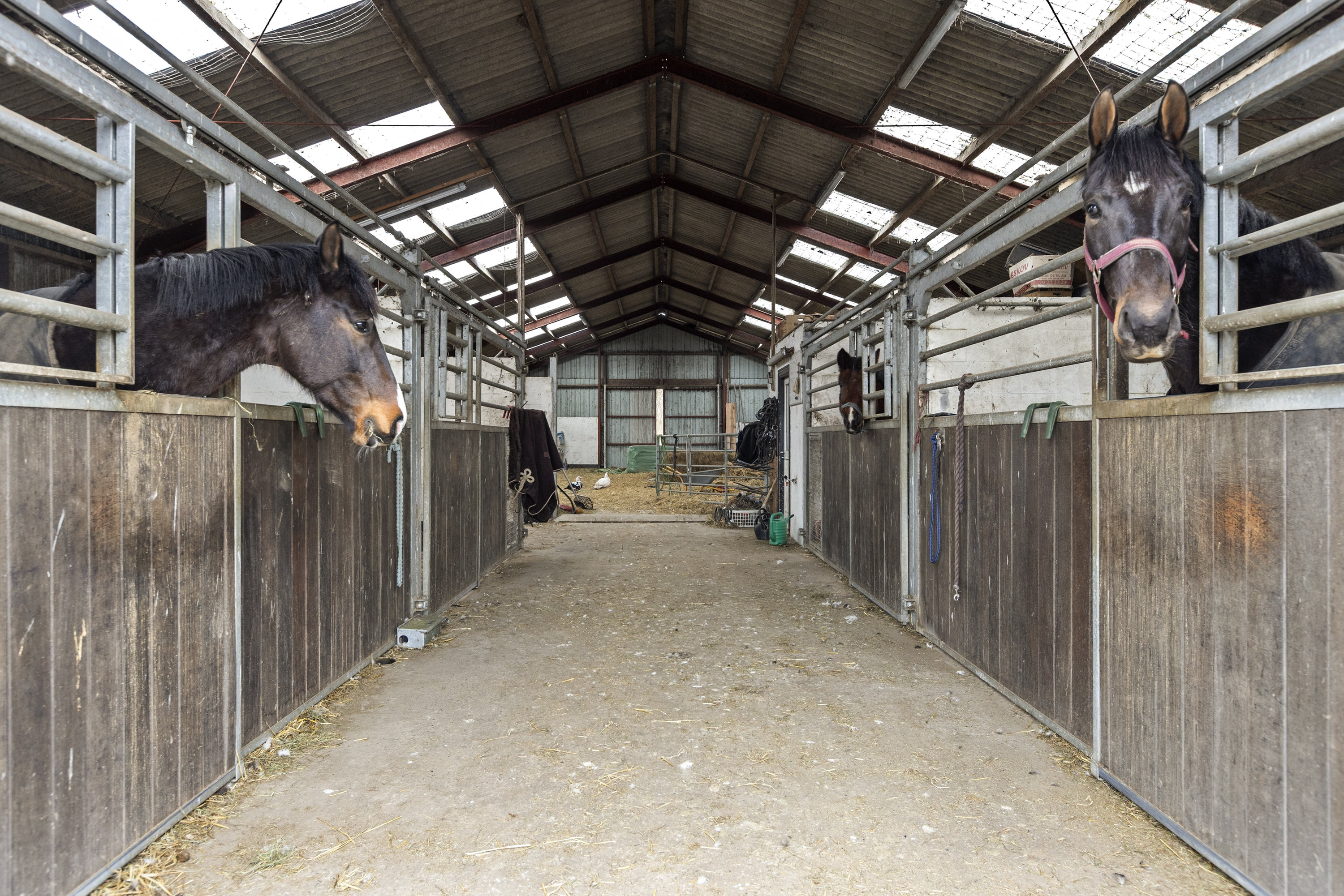 Fremhævet lade billede i fuldskærmstilstand. Billede af Vesterbygårdvej 14, 4490 Jerslev Sjælland