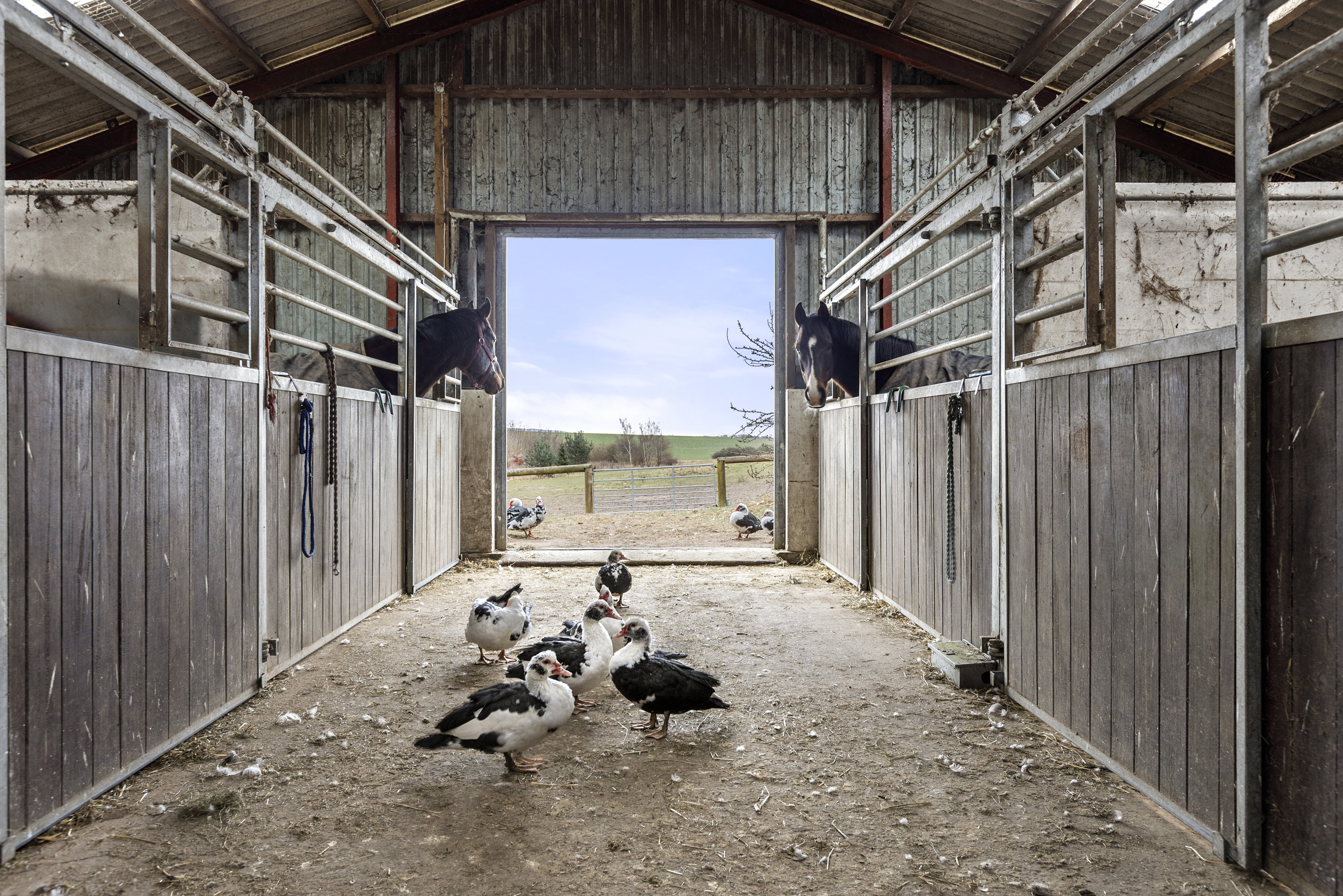 Miniaturebillede 2: lade. Billede af Vesterbygårdvej 14, 4490 Jerslev Sjælland