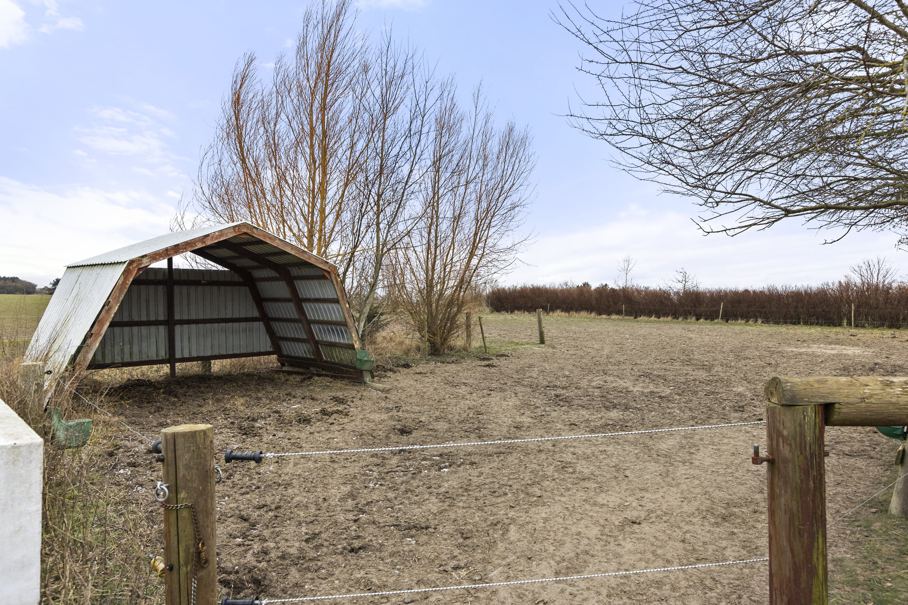 Fremhævet hestefold billede i fuldskærmstilstand. Billede af Vesterbygårdvej 14, 4490 Jerslev Sjælland