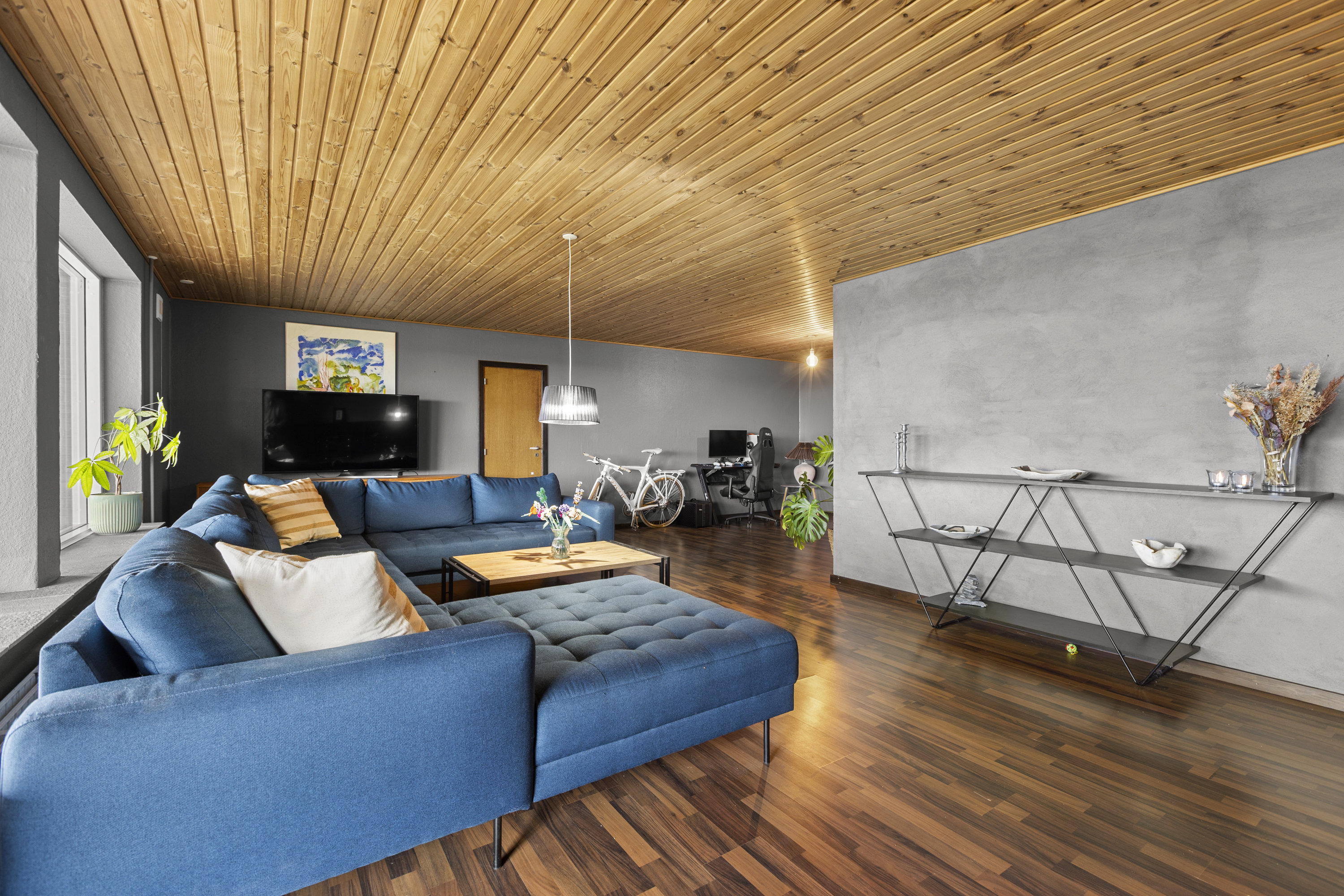 Fremhævet stue billede i fuldskærmstilstand. Billede af Milehøjen 16, Årby, 4400 Kalundborg