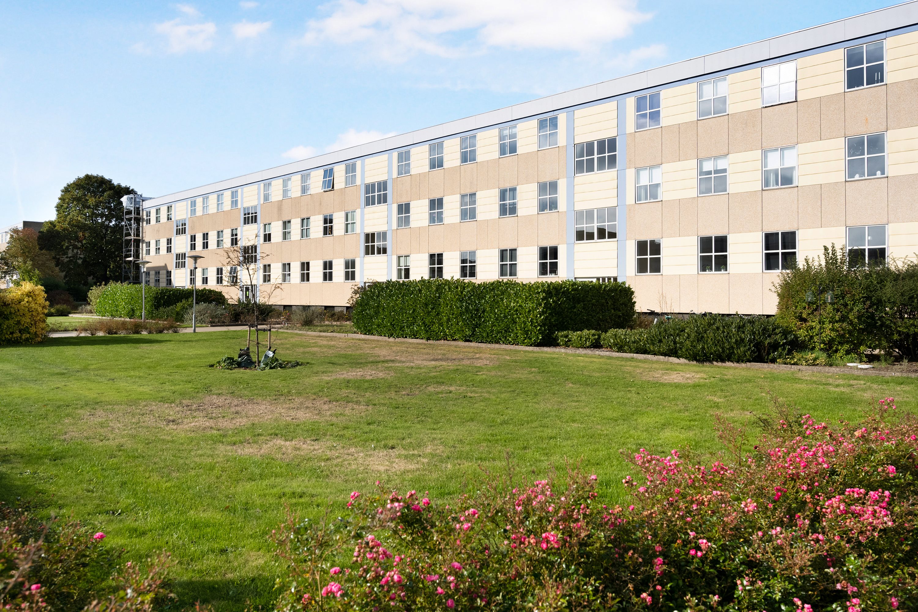 Fremhævet ejendommen billede i fuldskærmstilstand. Billede af Floravænget 5, st.. mf., Dalum, 5250 Odense SV