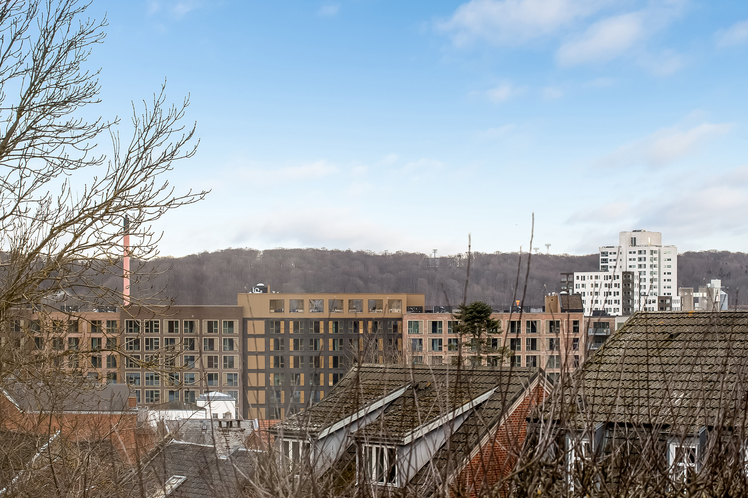 Fremhævet udsigt billede i fuldskærmstilstand. Billede af St Bjerggade 1, st.., 7100 Vejle