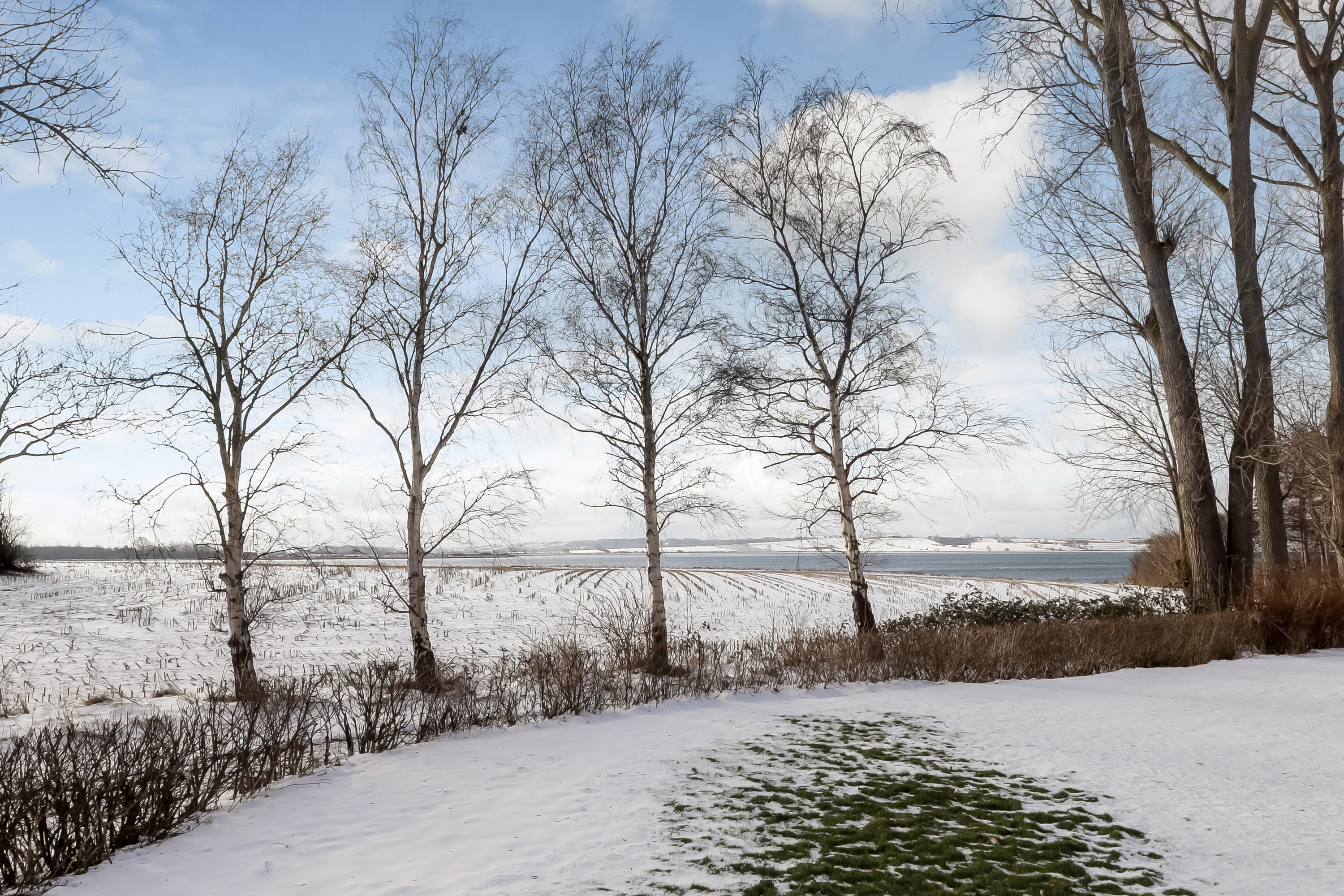 Fremhævet have billede i fuldskærmstilstand. Billede af Vesterskovsvej 33, Ommel, 5960 Marstal