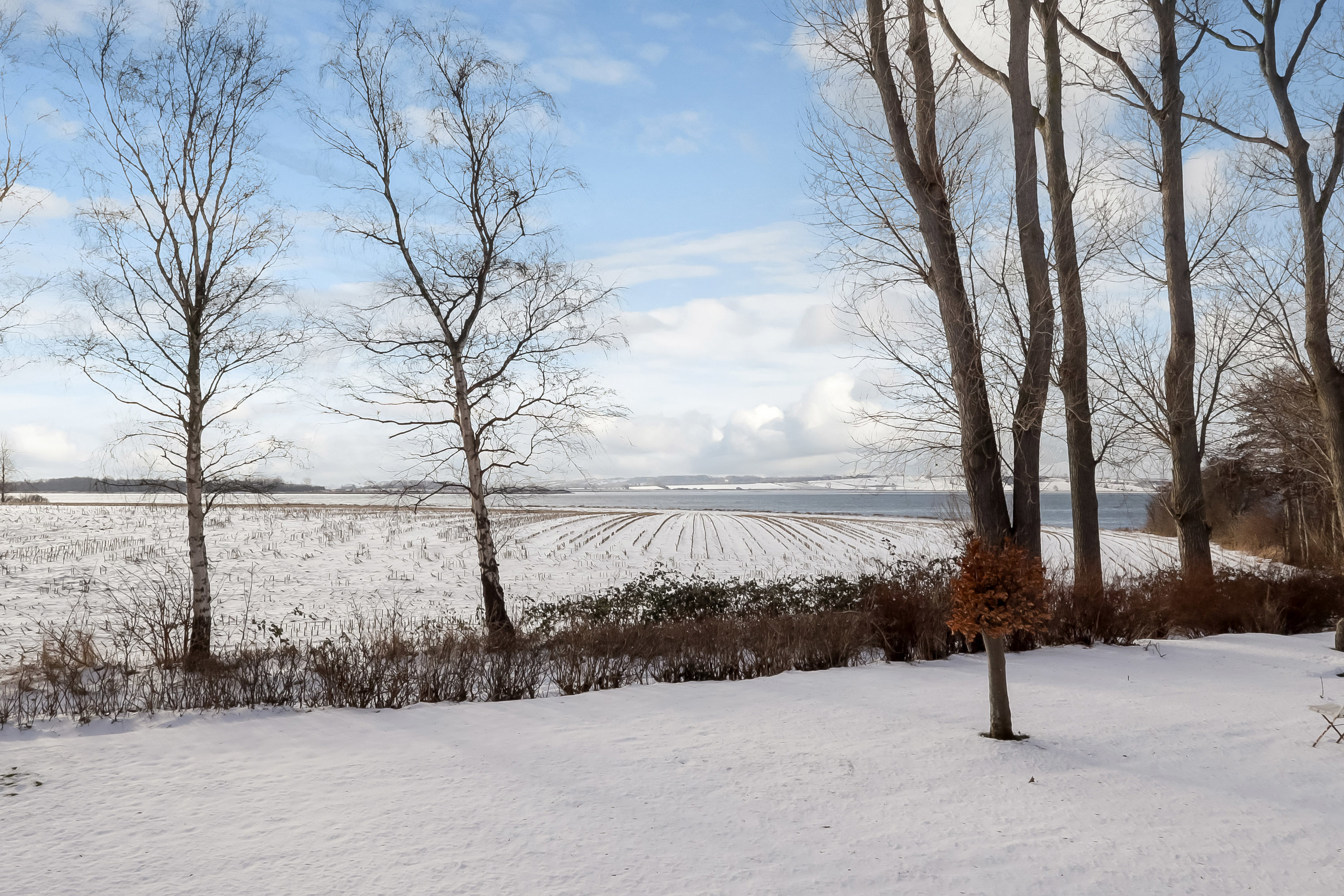 Fremhævet have billede i fuldskærmstilstand. Billede af Vesterskovsvej 33, Ommel, 5960 Marstal