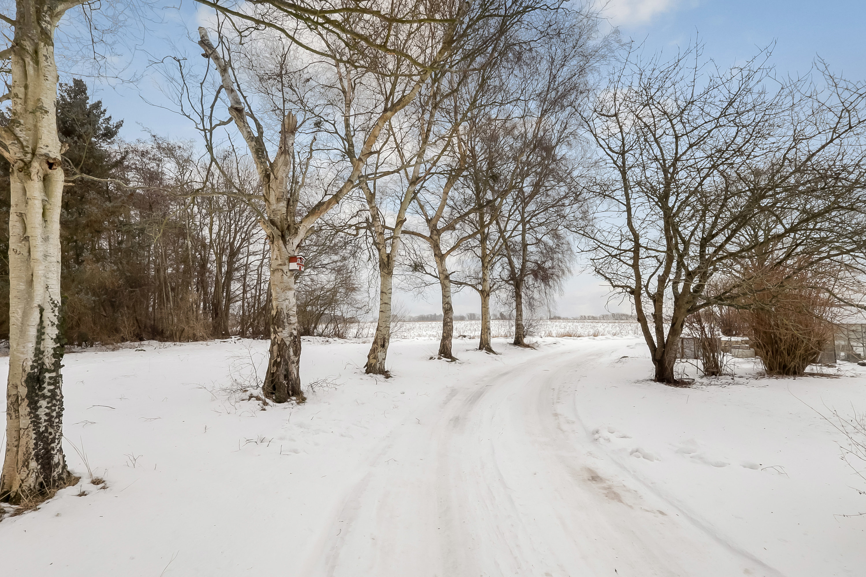 Fremhævet have billede i fuldskærmstilstand. Billede af Højensvej 200, Egense, 5700 Svendborg