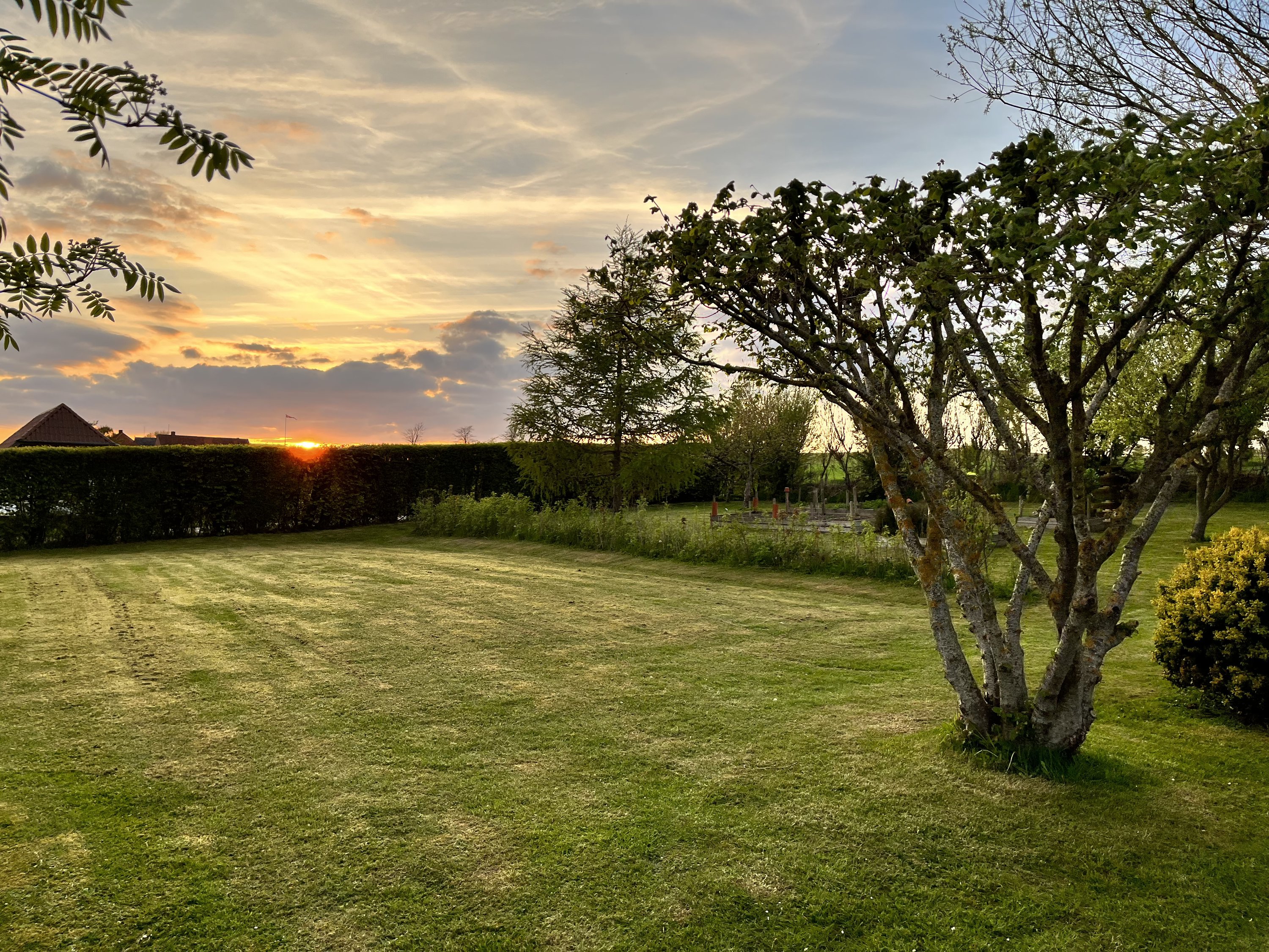 Fremhævet  billede i fuldskærmstilstand. Billede af Ellemosevej 2, 5970 Ærøskøbing
