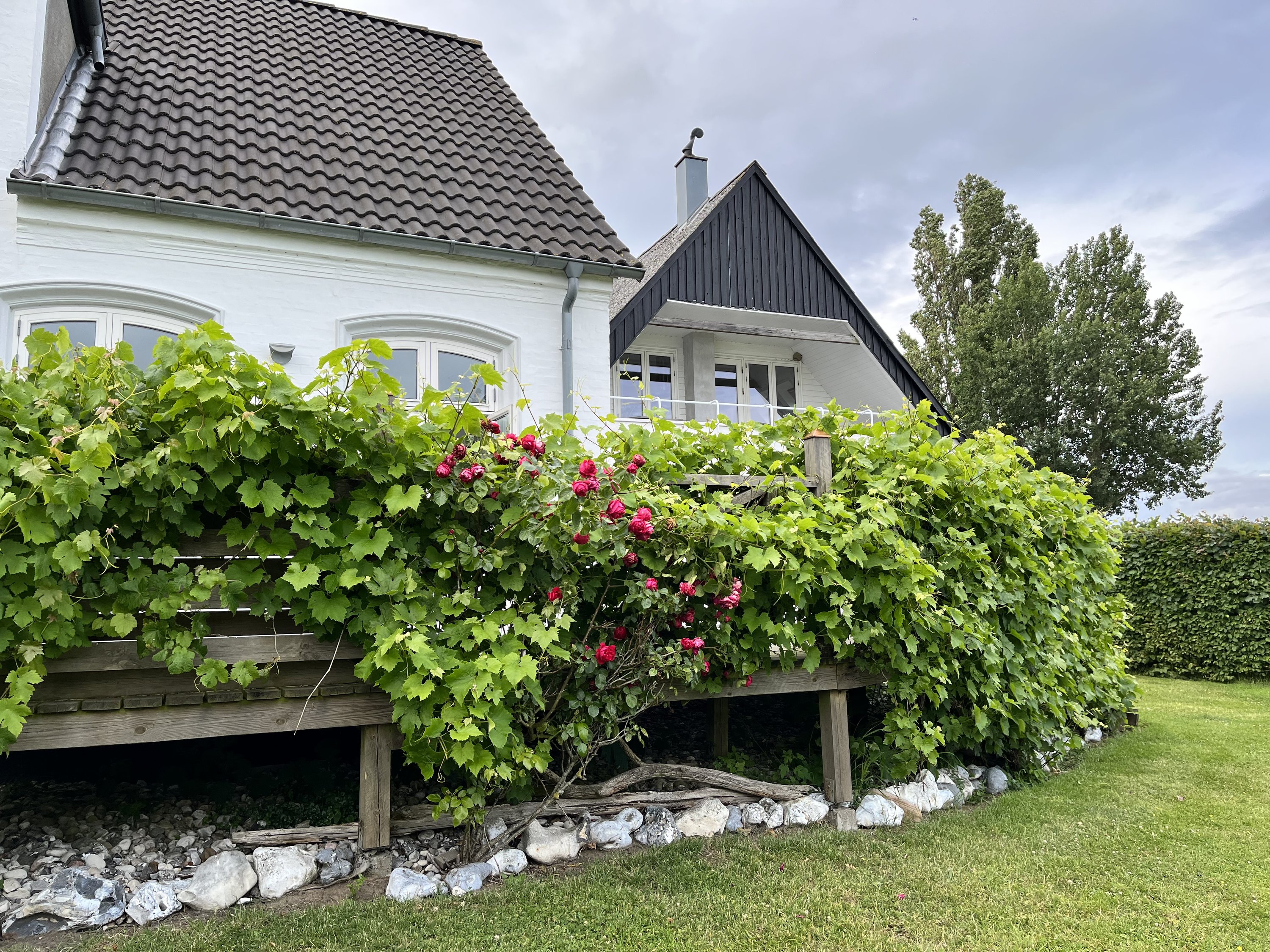 Fremhævet  billede i fuldskærmstilstand. Billede af Ellemosevej 2, 5970 Ærøskøbing