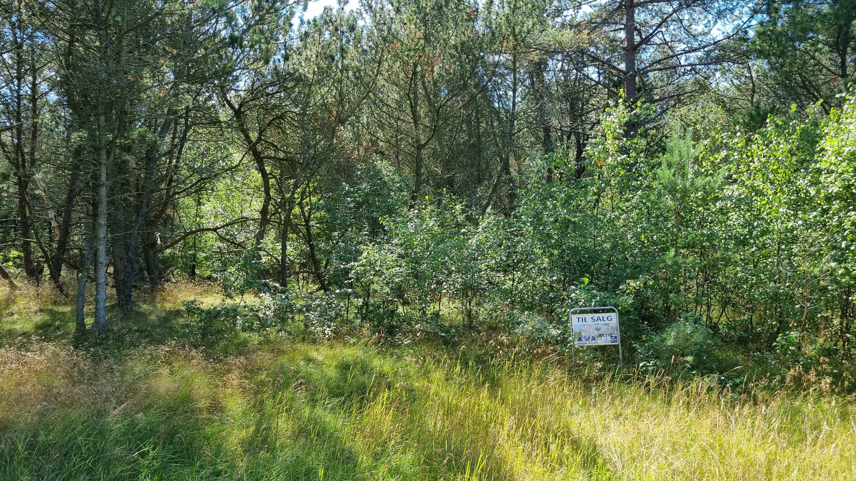 Fremhævet andet billede i fuldskærmstilstand. Billede af Hyldebærvej 16, Remmerne , 9940 Læsø