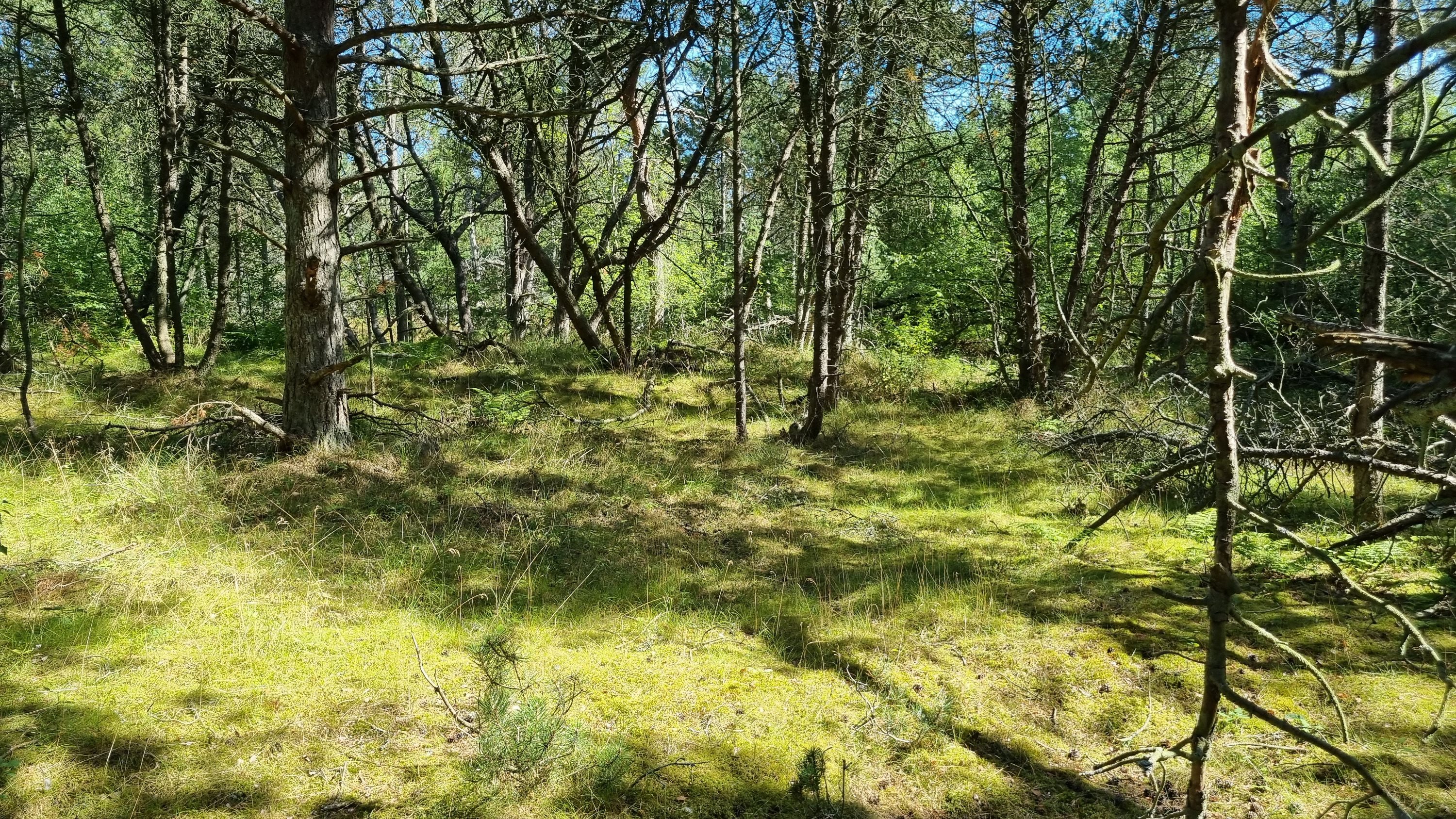 Fremhævet andet billede i fuldskærmstilstand. Billede af Hyldebærvej 16, Remmerne , 9940 Læsø