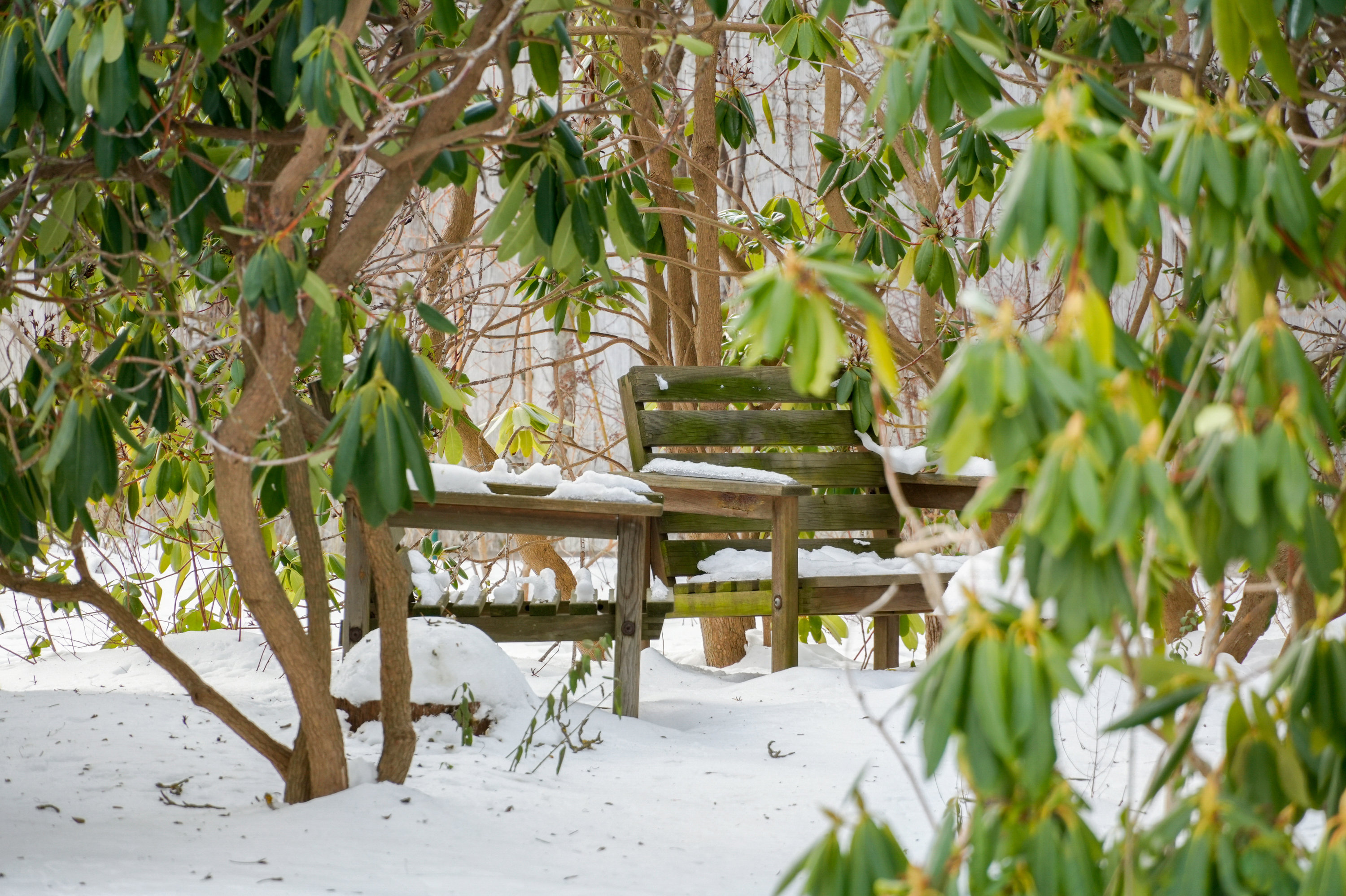 Fremhævet  billede i fuldskærmstilstand. Billede af Egebjergvej 106, 2750 Ballerup