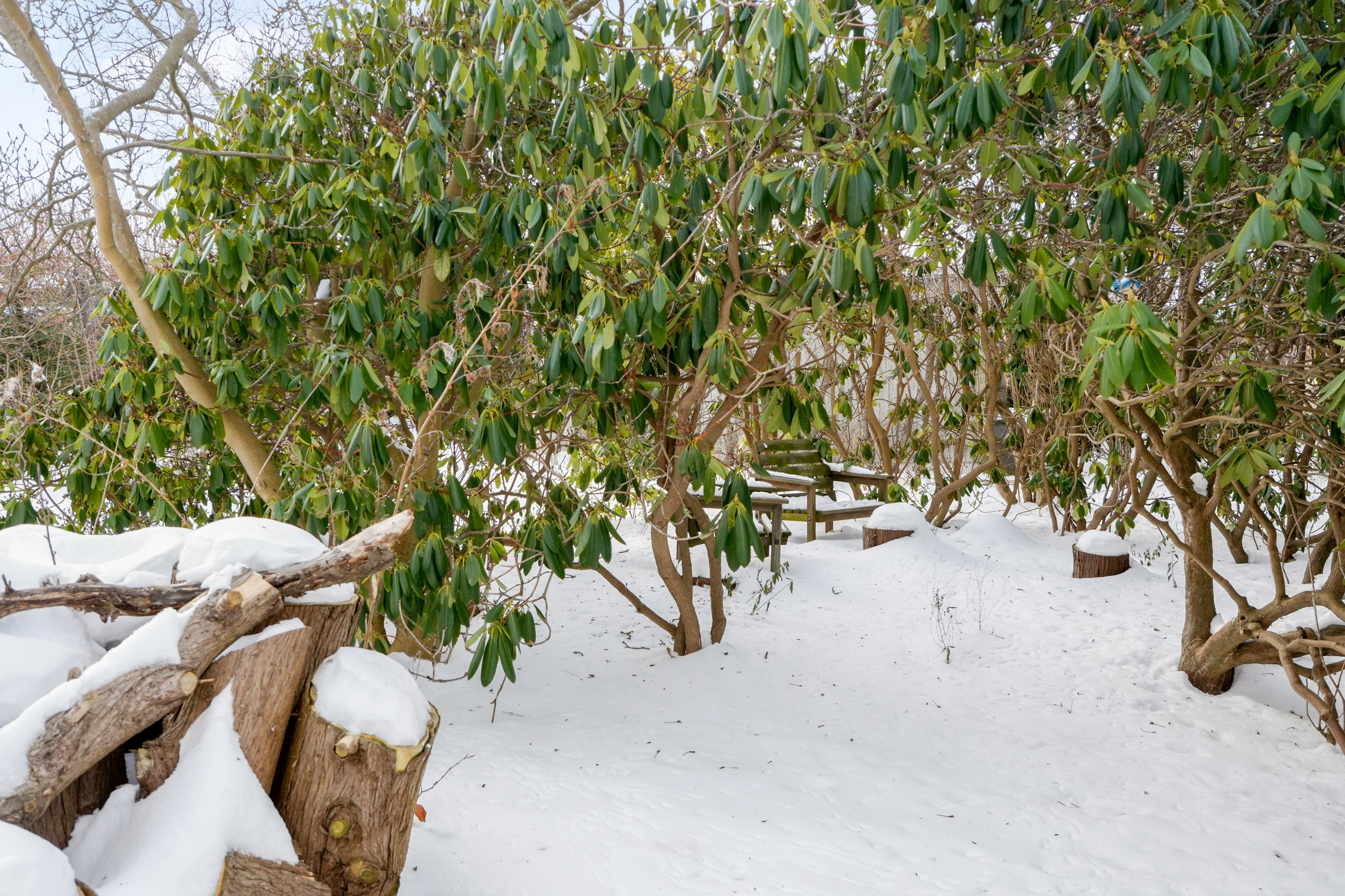 Fremhævet  billede i fuldskærmstilstand. Billede af Egebjergvej 106, 2750 Ballerup