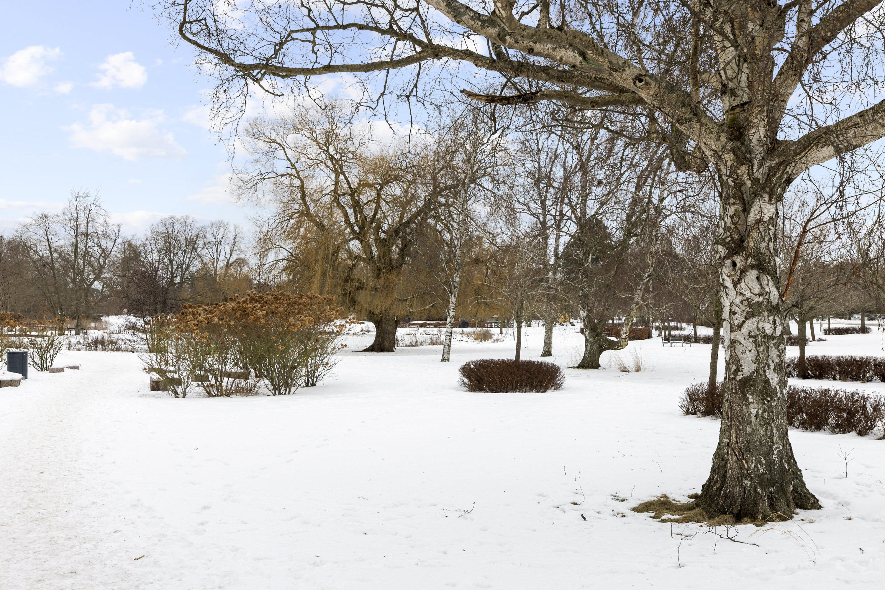 Fremhævet område billede i fuldskærmstilstand. Billede af Slotsgade 53, 1. tv., 4200 Slagelse