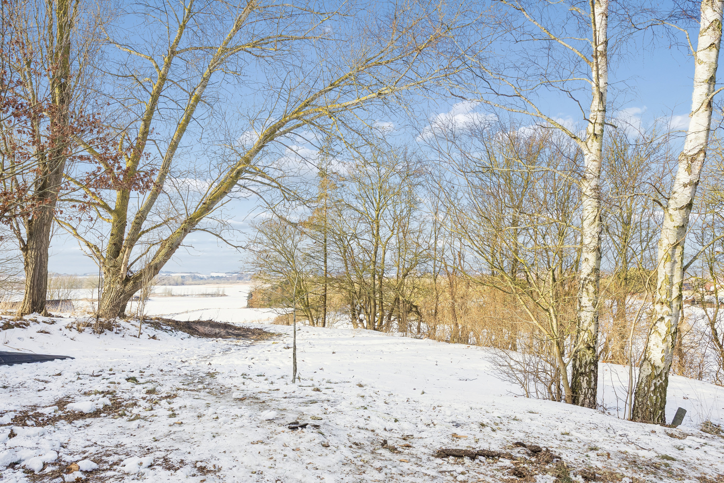 Fremhævet have billede i fuldskærmstilstand. Billede af Buerupvej 53, Buerup, 4450 Jyderup