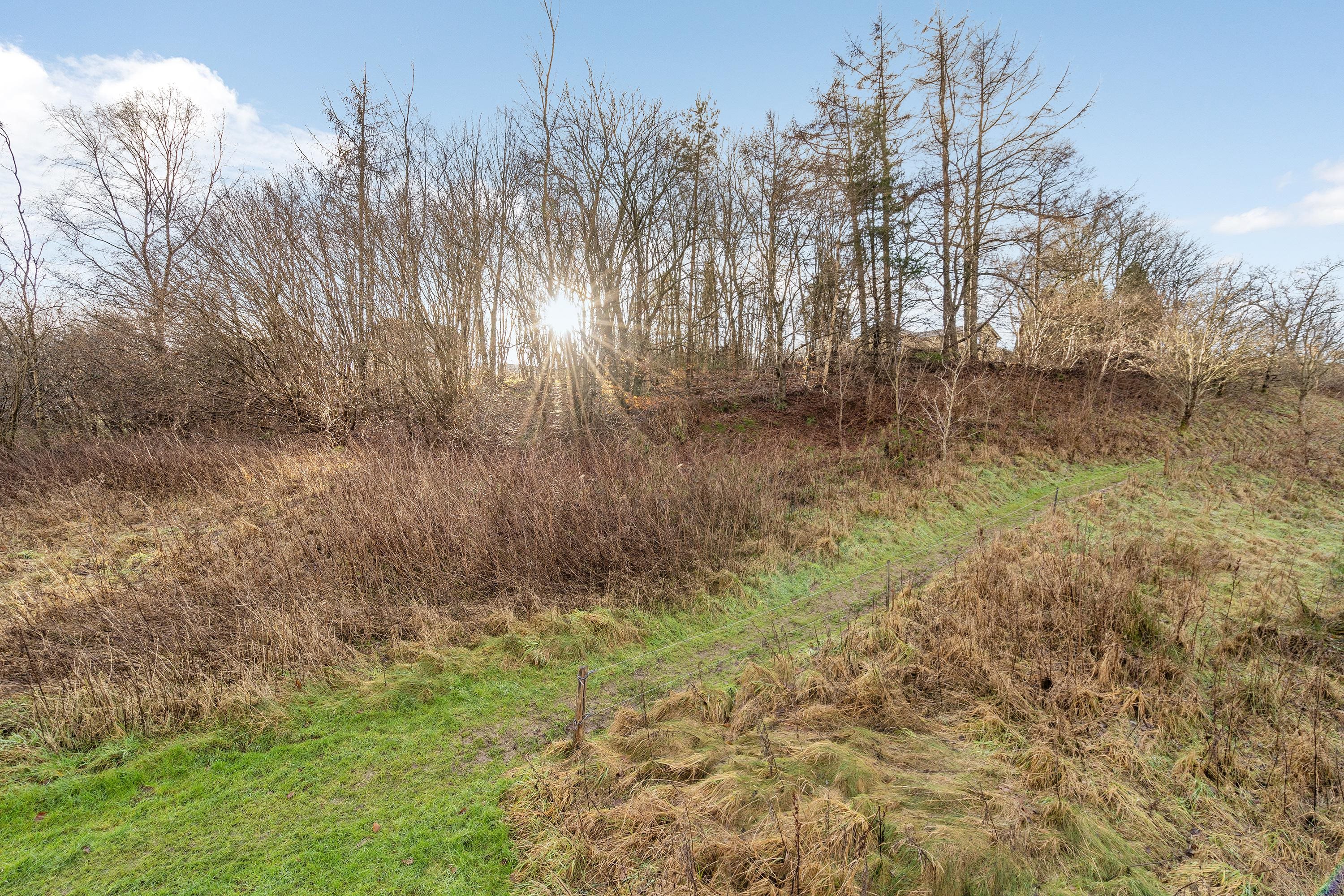 Miniaturebillede 2: grund. Billede af Søndergade 34, 6040 Egtved