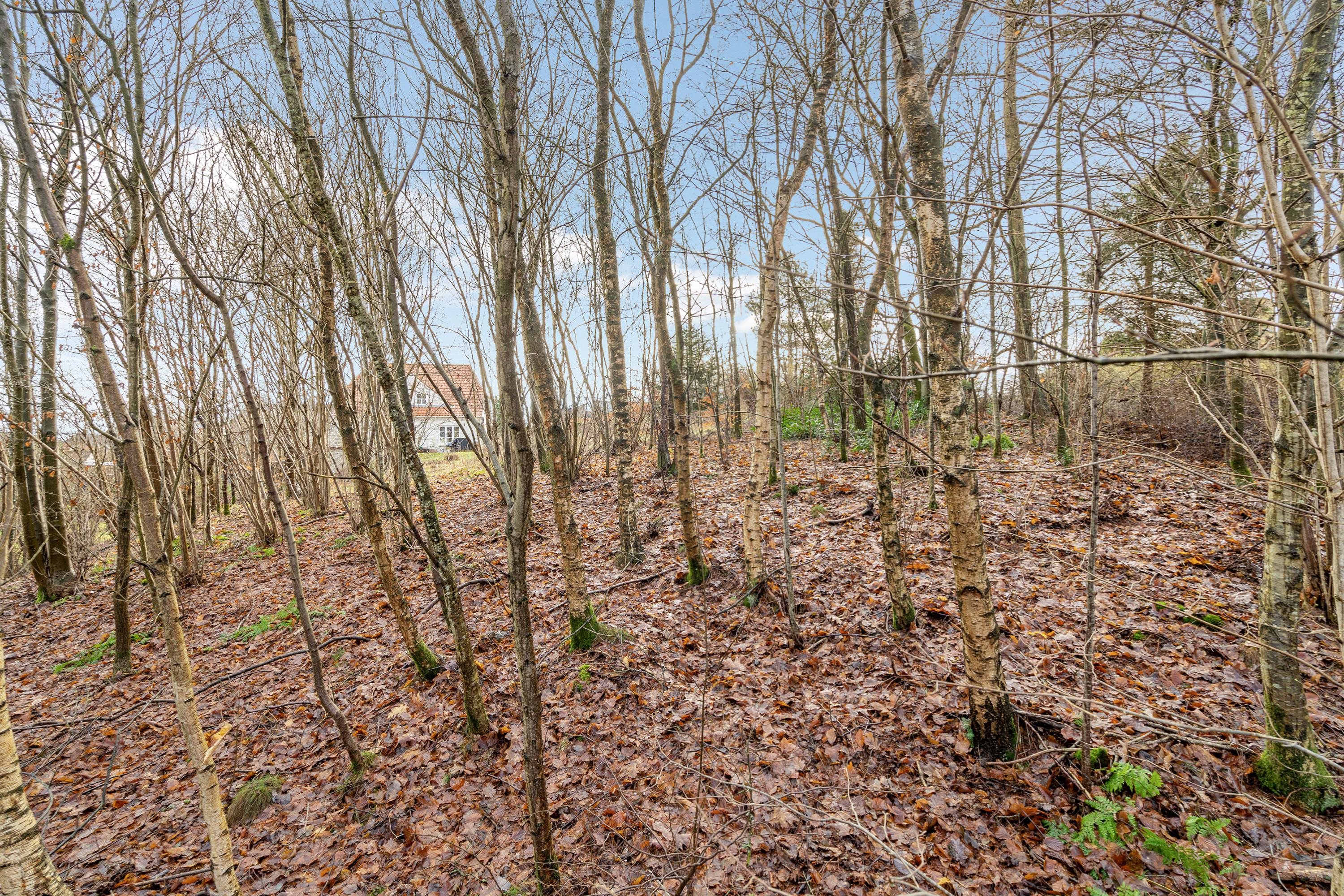 Fremhævet grund billede i fuldskærmstilstand. Billede af Søndergade 34, 6040 Egtved